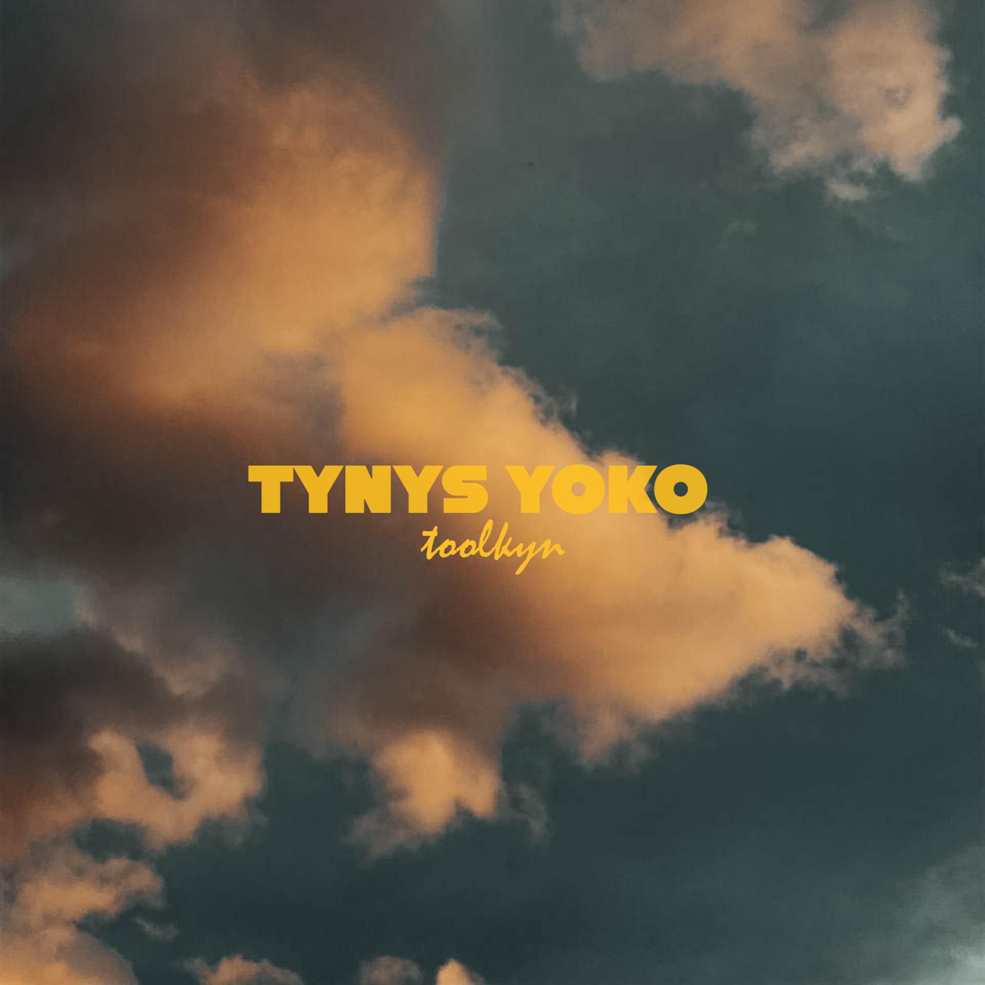 Постер альбома Tynys Yoko
