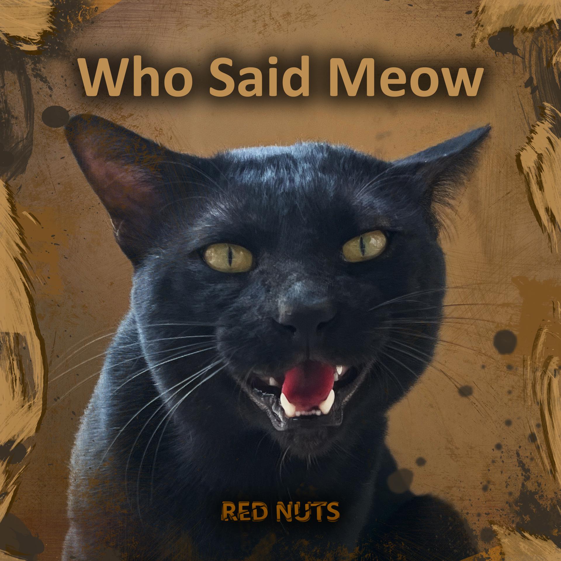 Постер альбома Who Said Meow