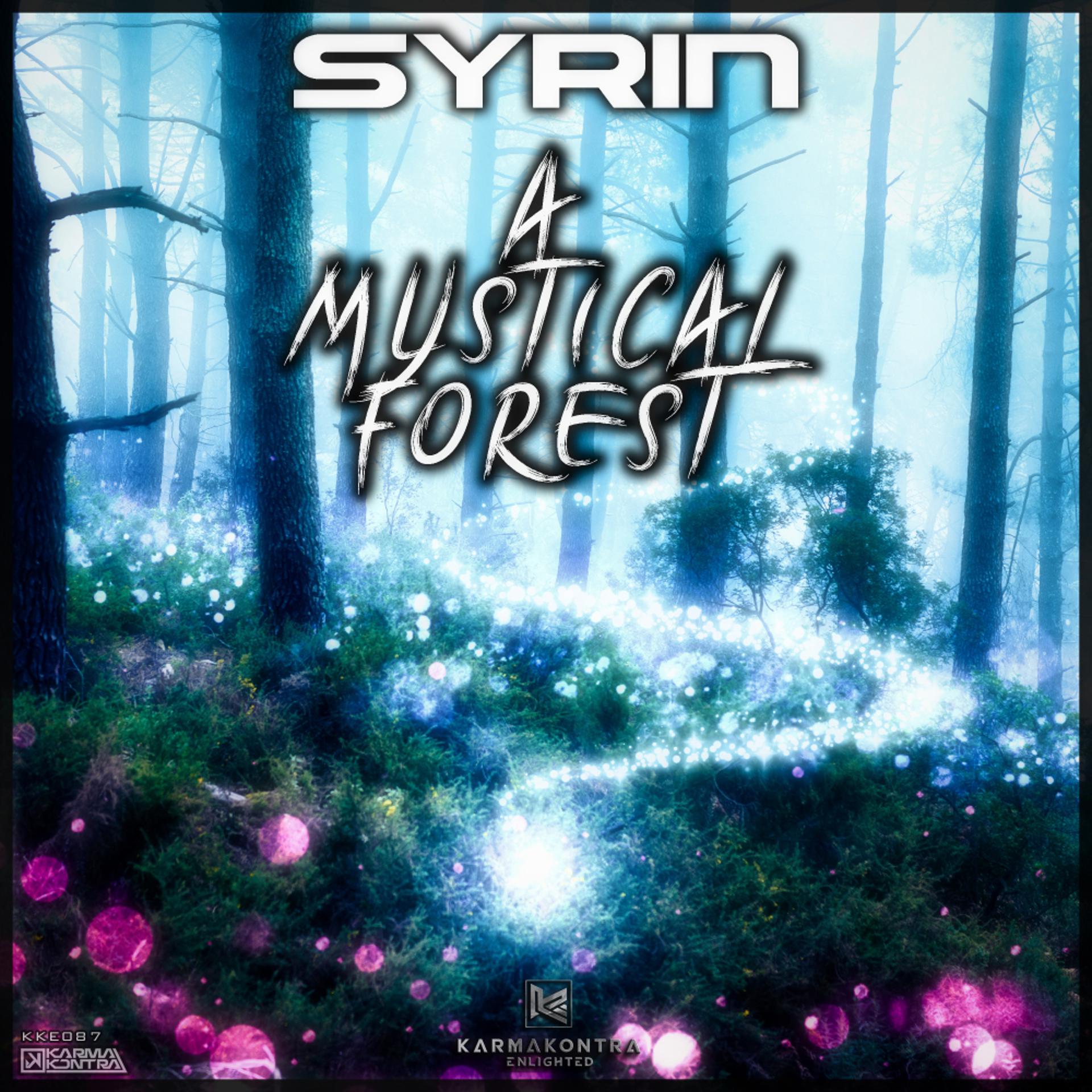 Постер альбома A Mystical Forest