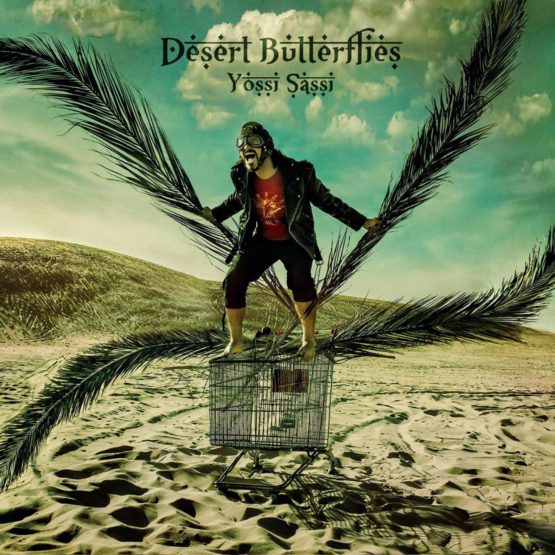Постер альбома Desert Butterflies