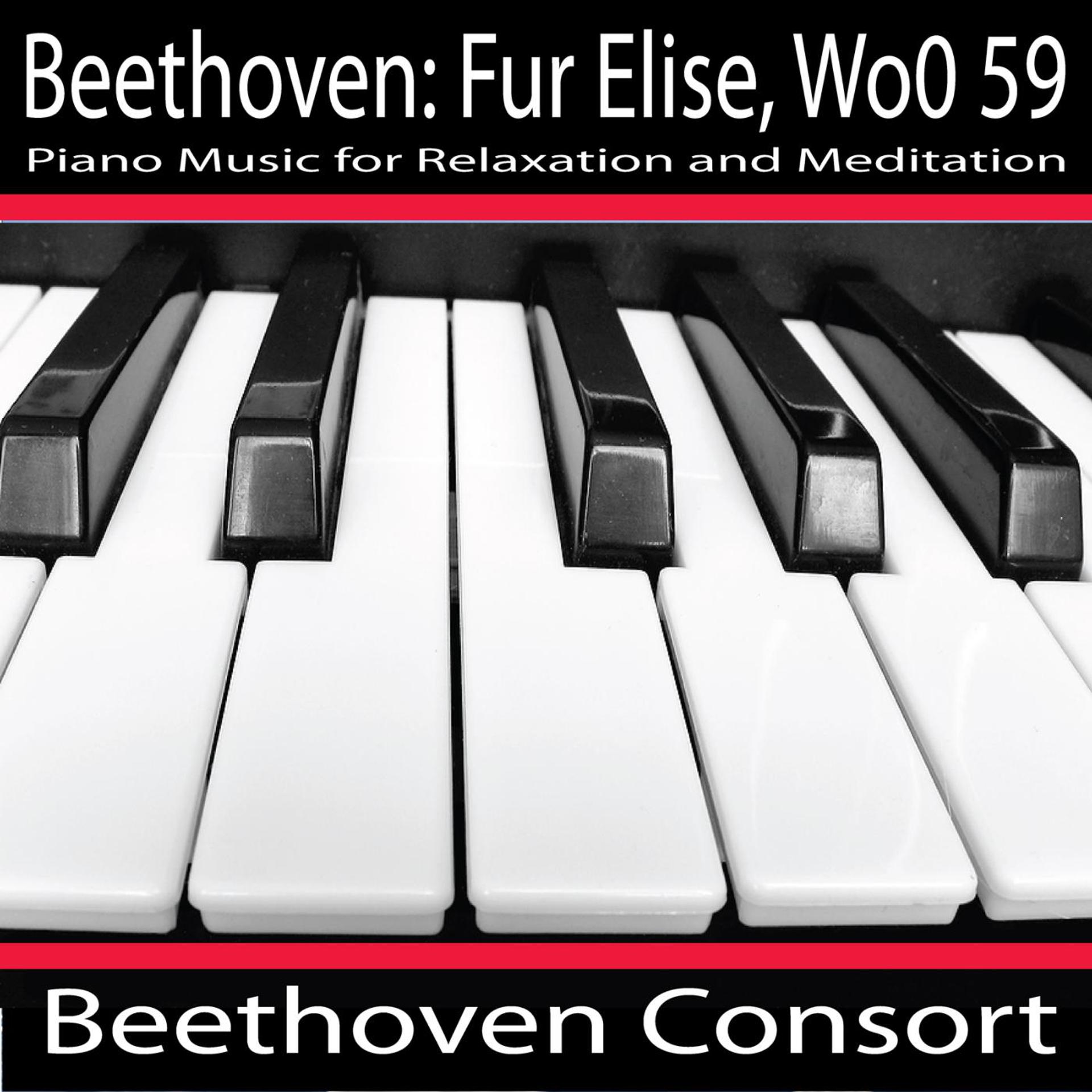 Постер альбома Beethoven: Fur Elise, Woo 59