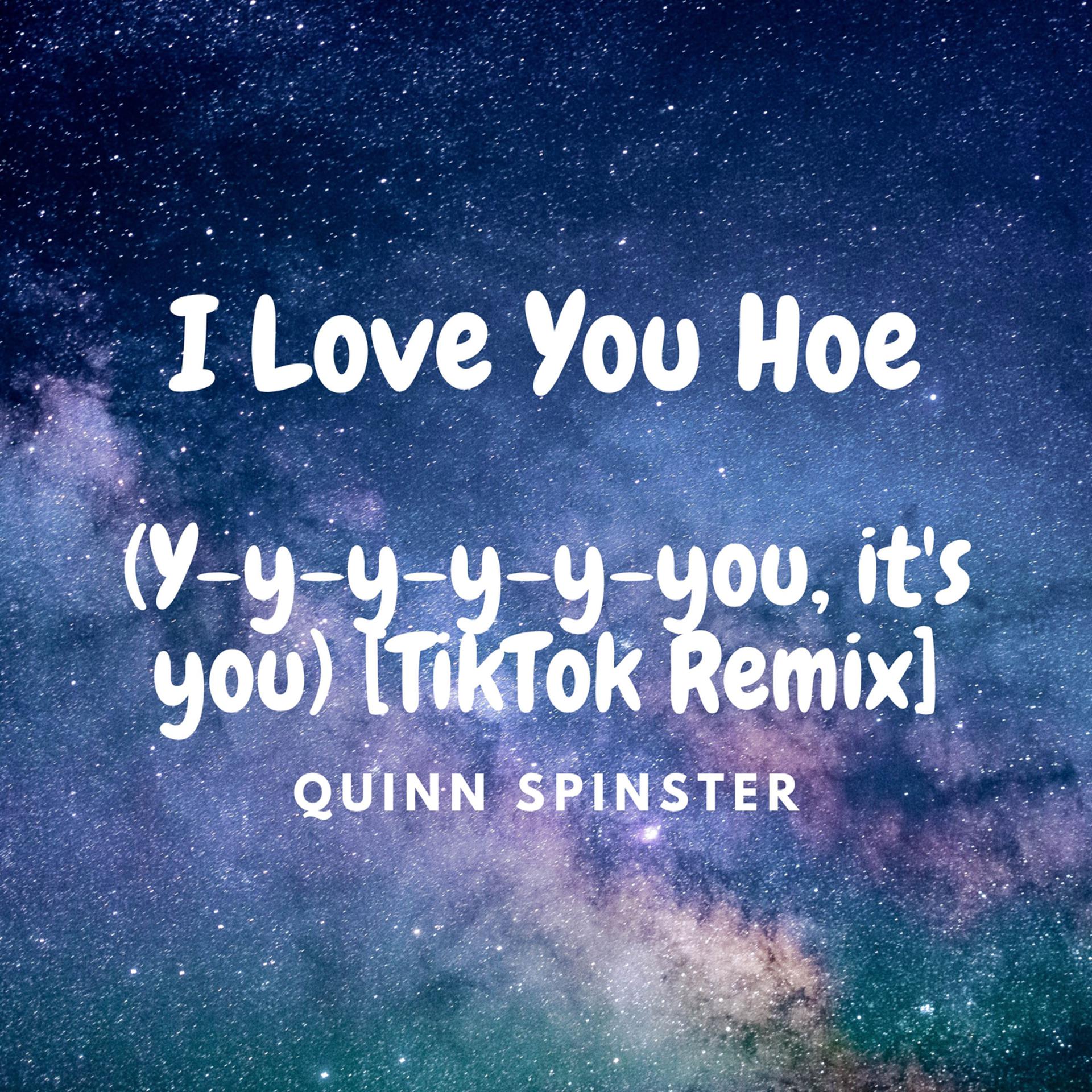 Постер альбома I Love You Hoe (Y-y-y-y-y-you, it's you) [TikTok Remix]
