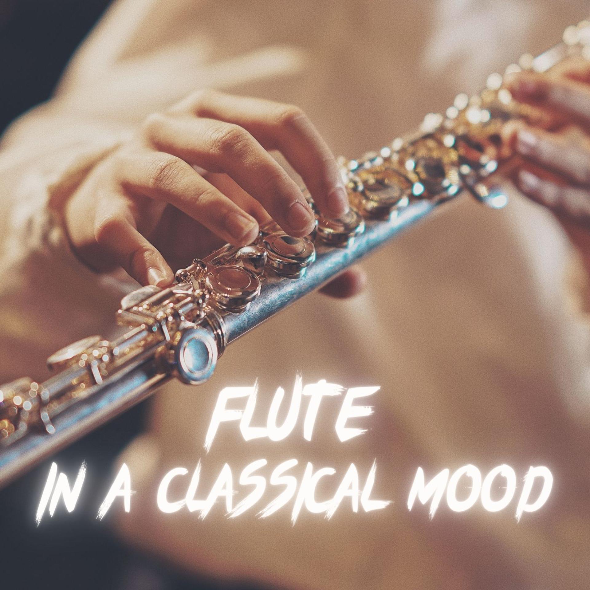 Постер альбома Flute in a Classical Mood