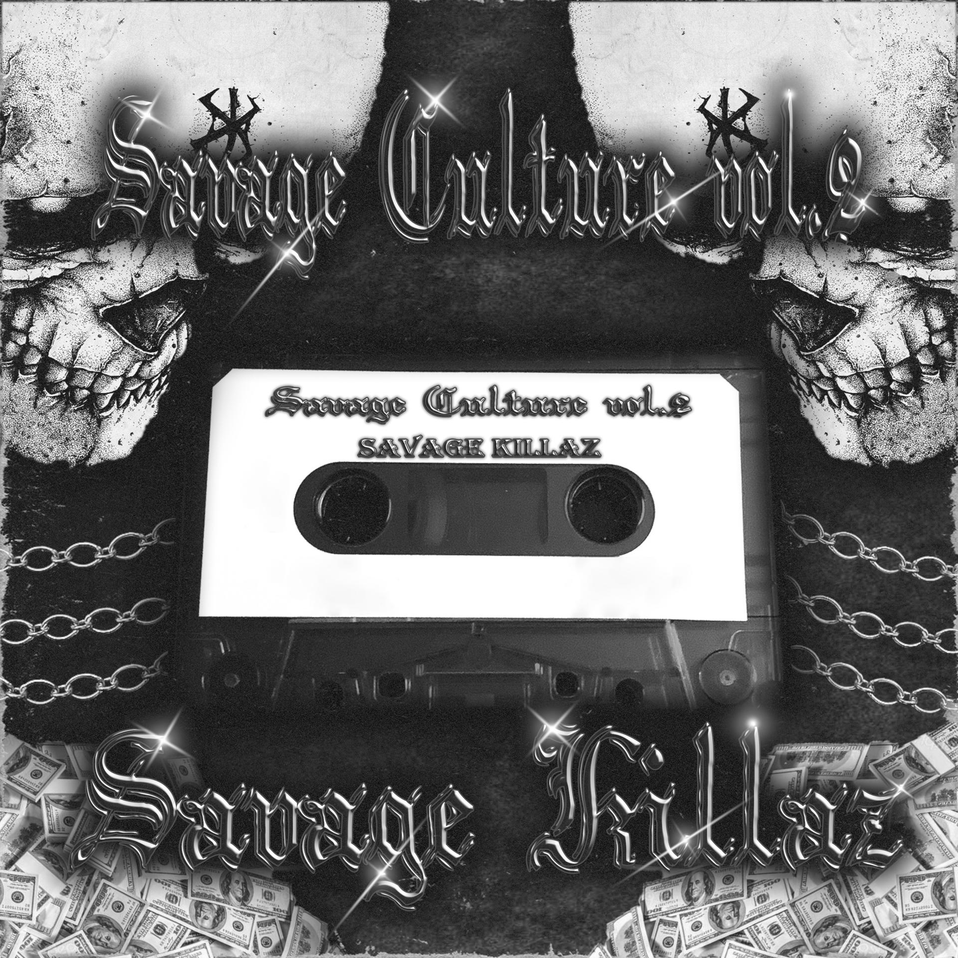 Постер альбома Savage Culture, Vol. 2