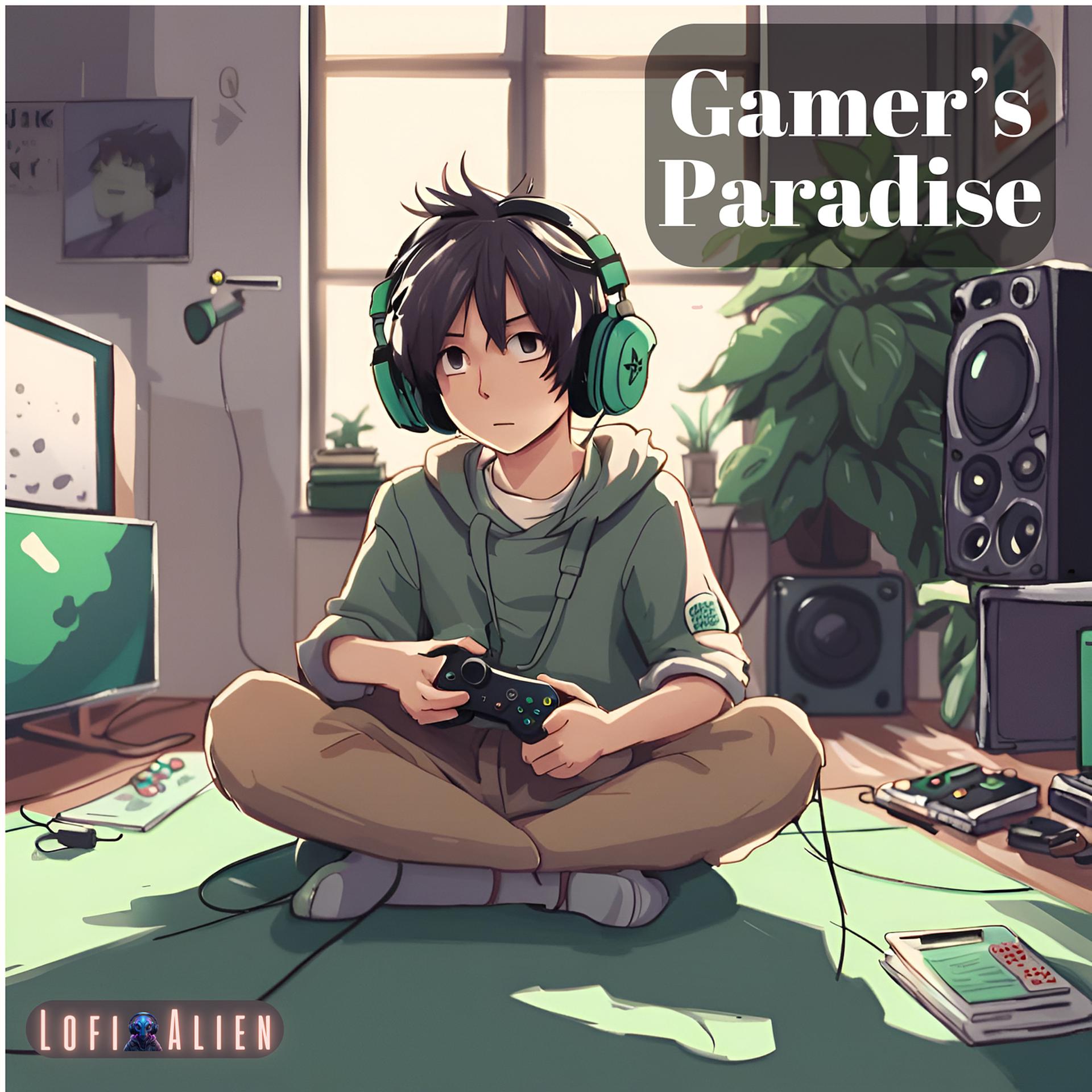 Постер альбома Gamer's Paradise