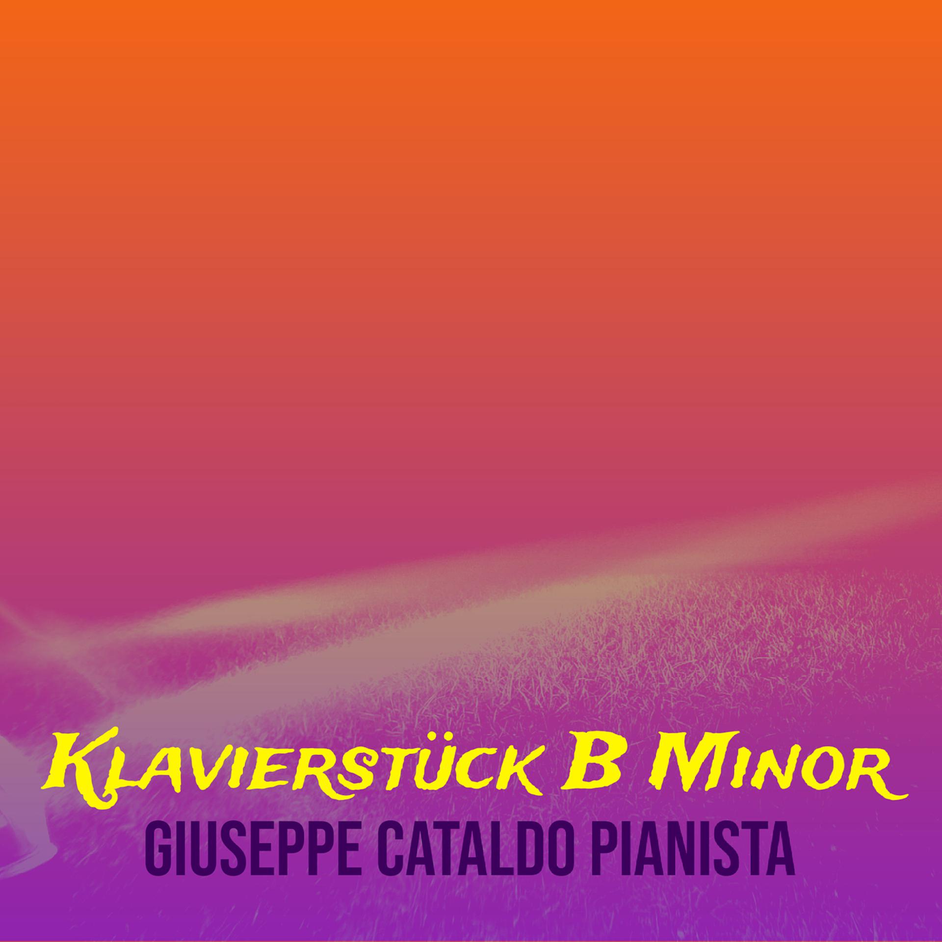 Постер альбома Klavierstück B Minor