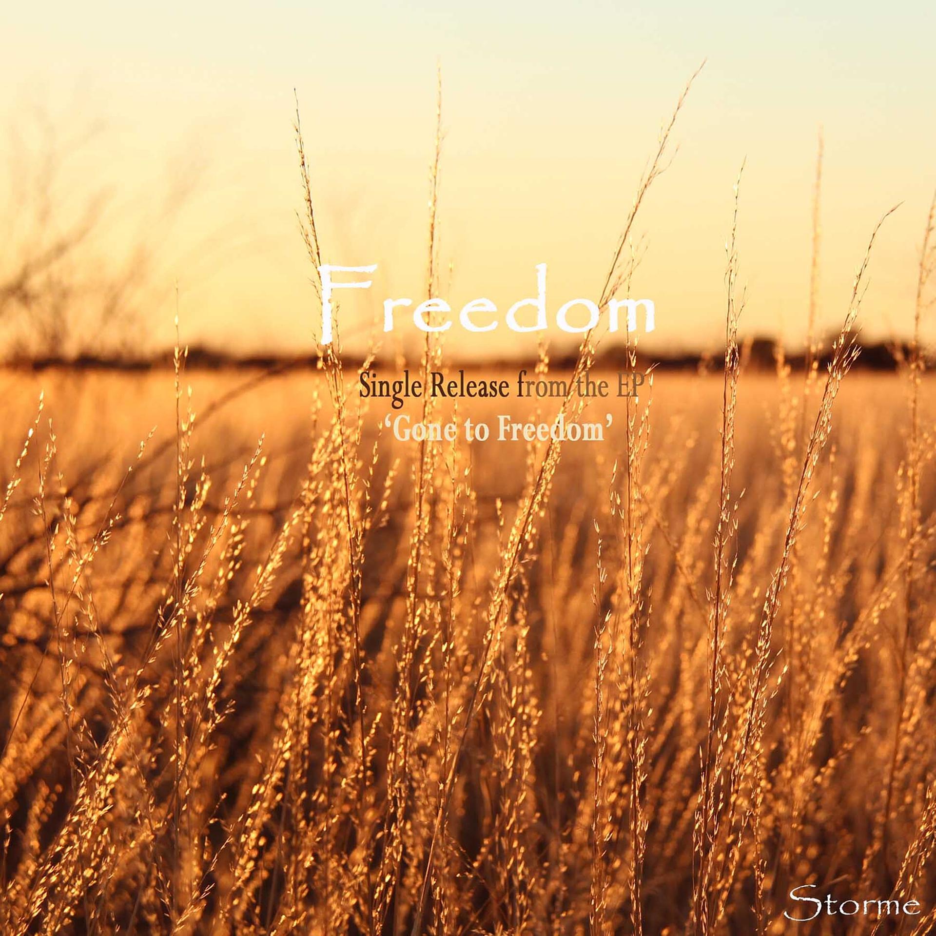 Постер альбома Gone to Freedom