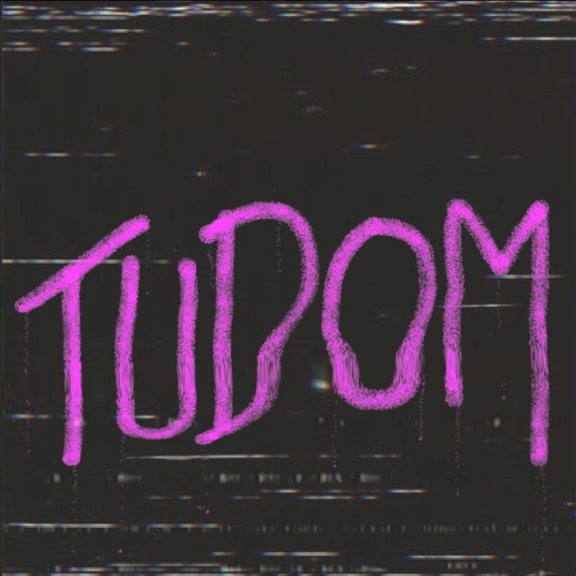 Постер альбома Tudom
