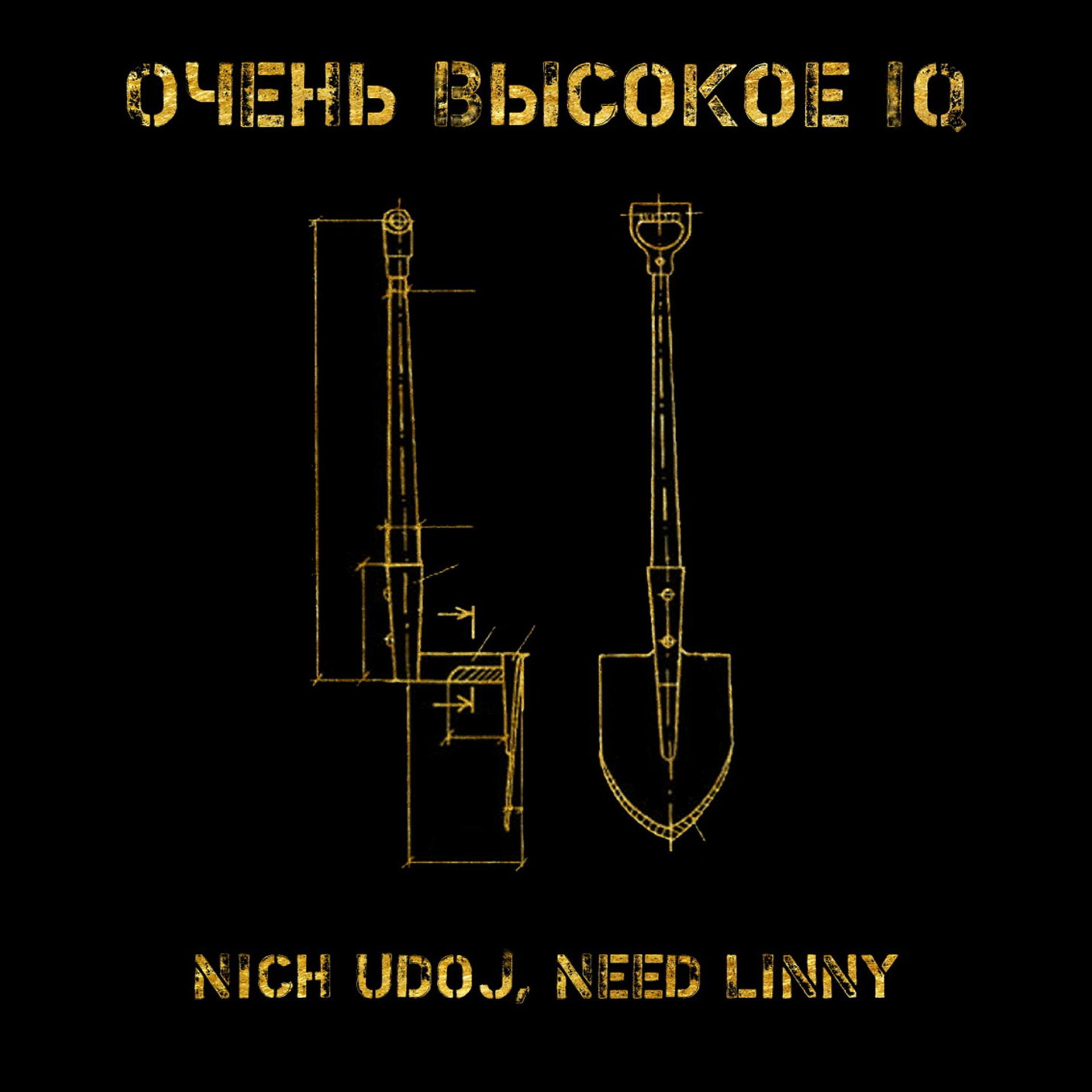 Постер альбома Nich Udoj, Need Linny