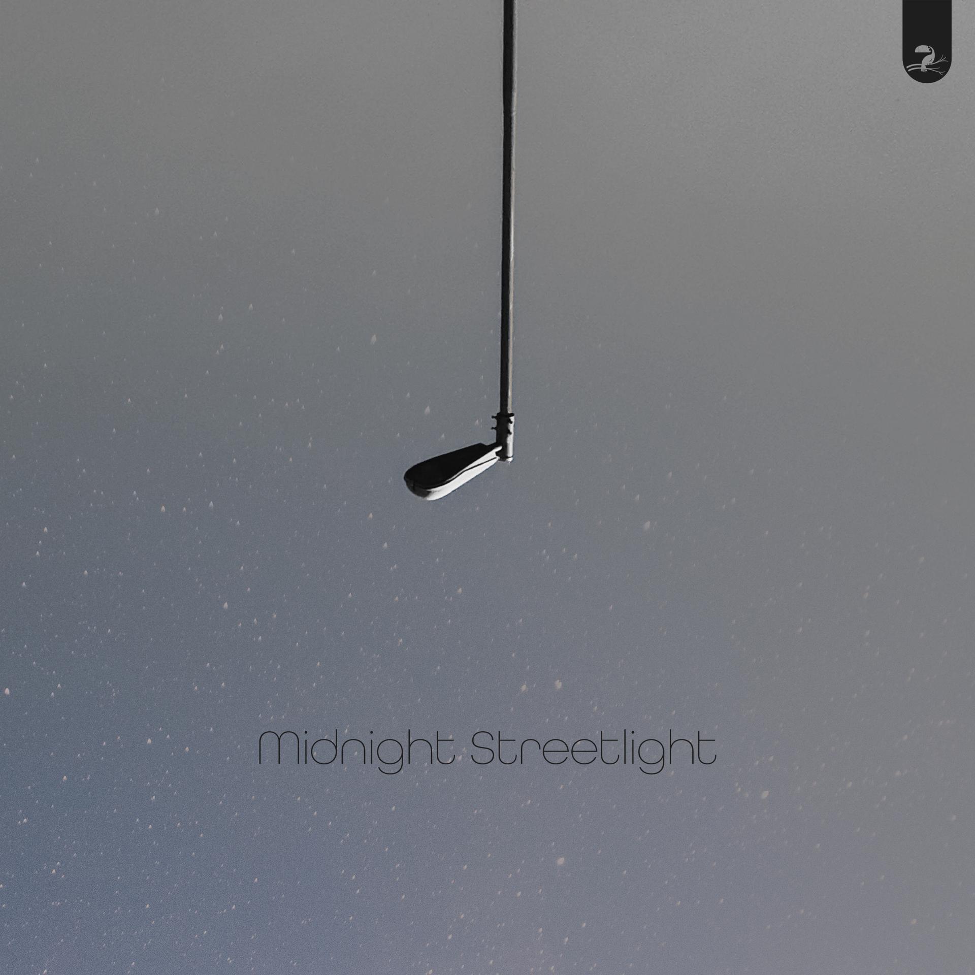 Постер альбома Midnight Streetlight
