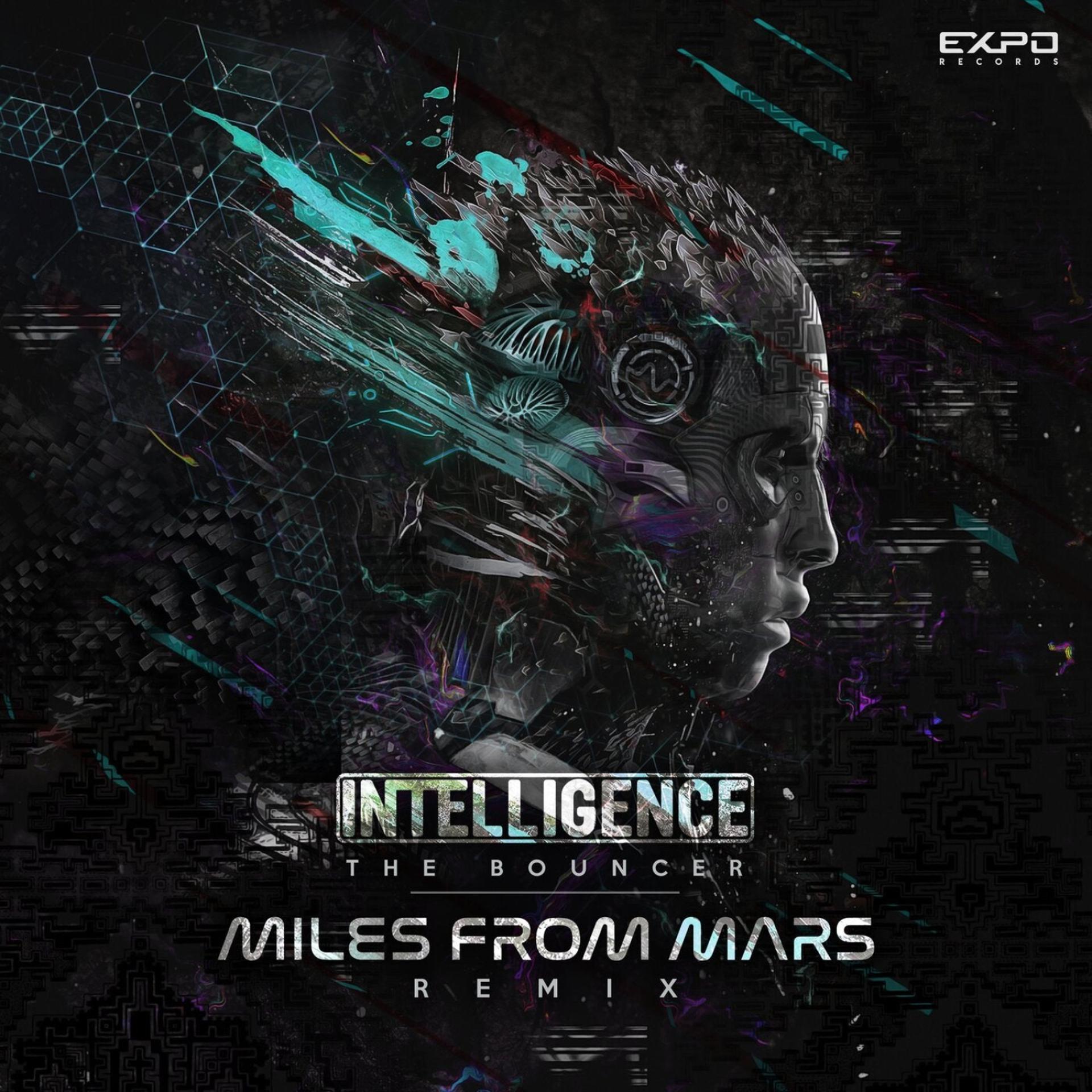 Постер альбома The Bouncer (Miles from Mars Remix)