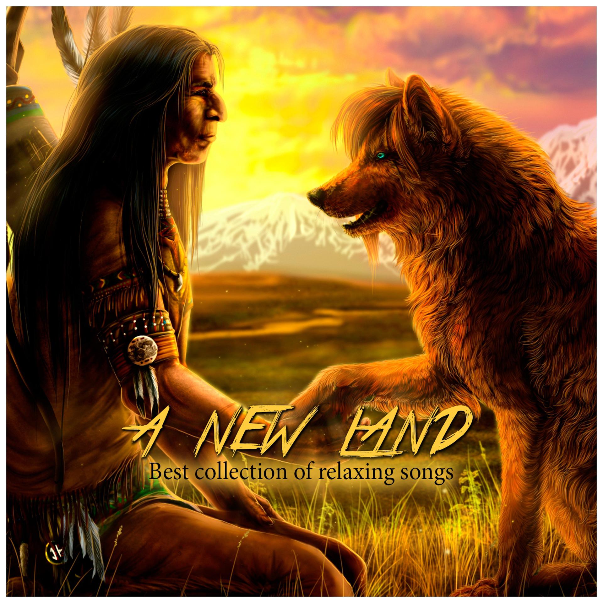 Постер альбома A New Land