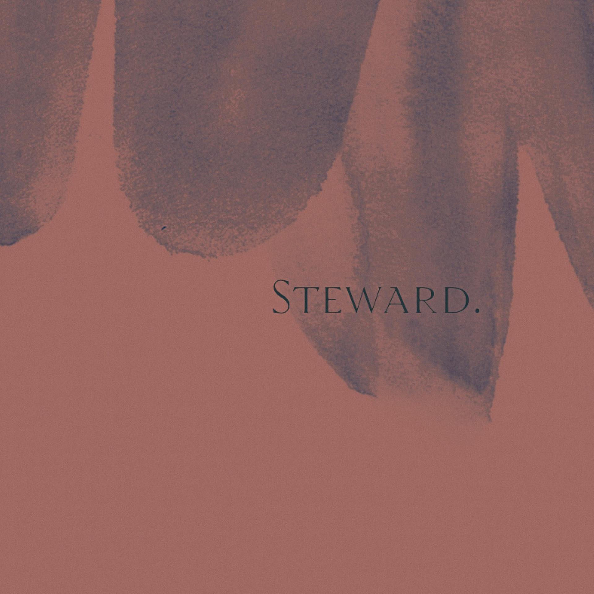 Постер альбома Steward