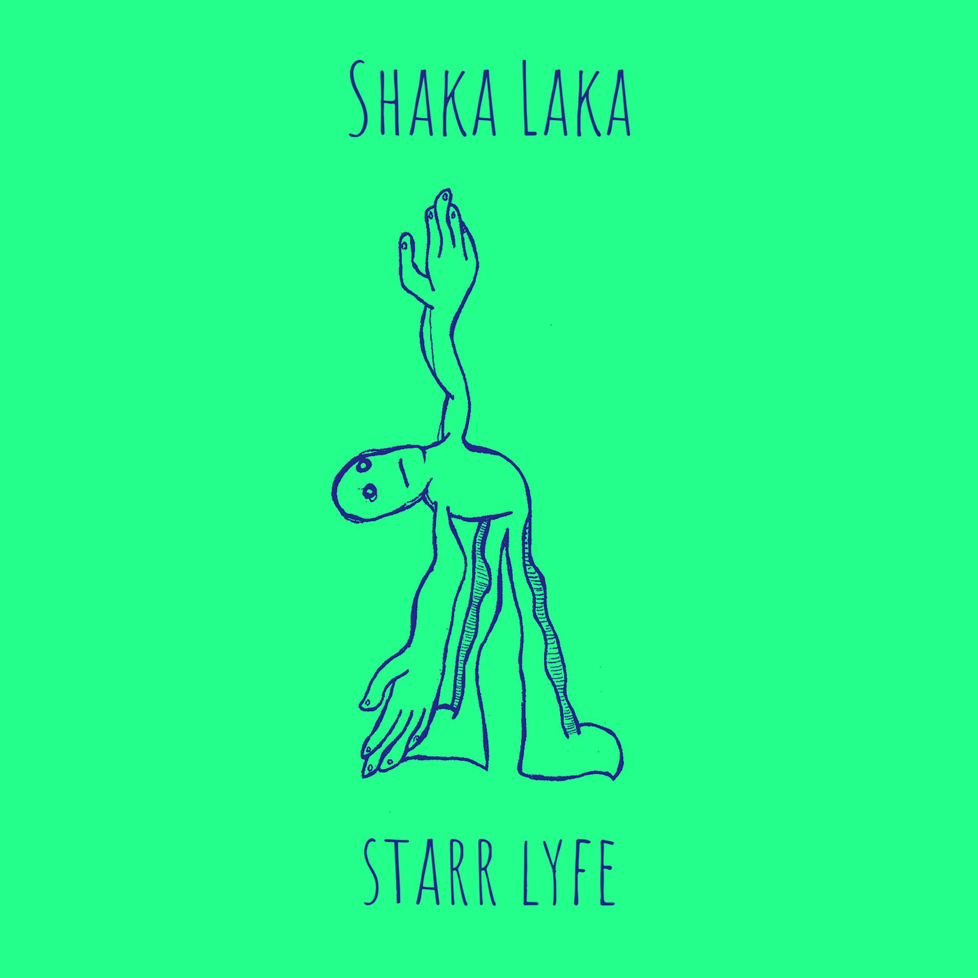 Постер альбома Shaka Laka