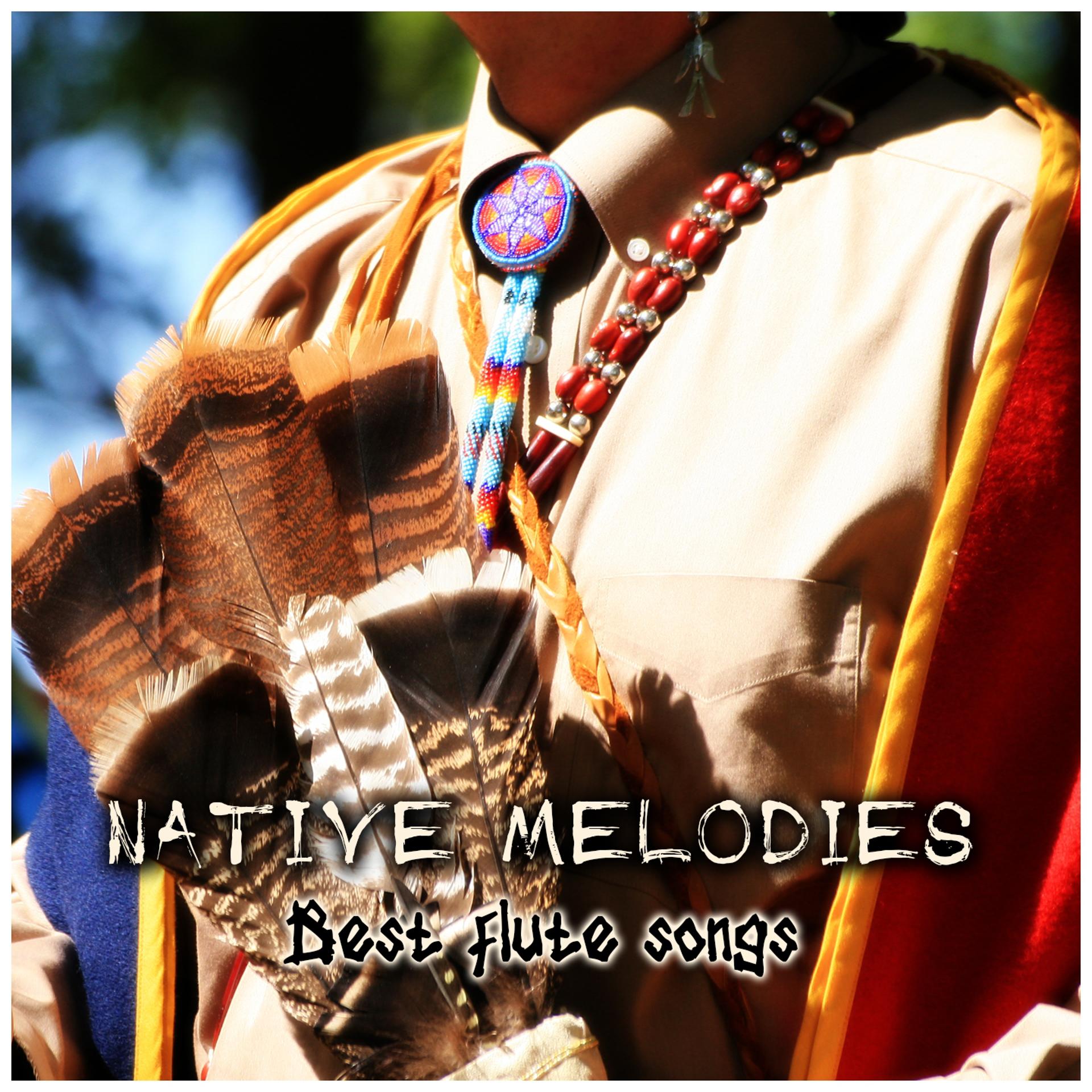 Постер альбома Native Melodies