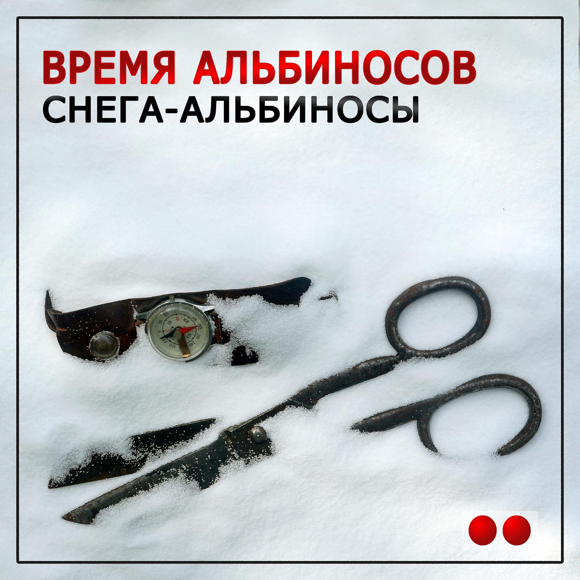 Постер альбома Снега-альбиносы