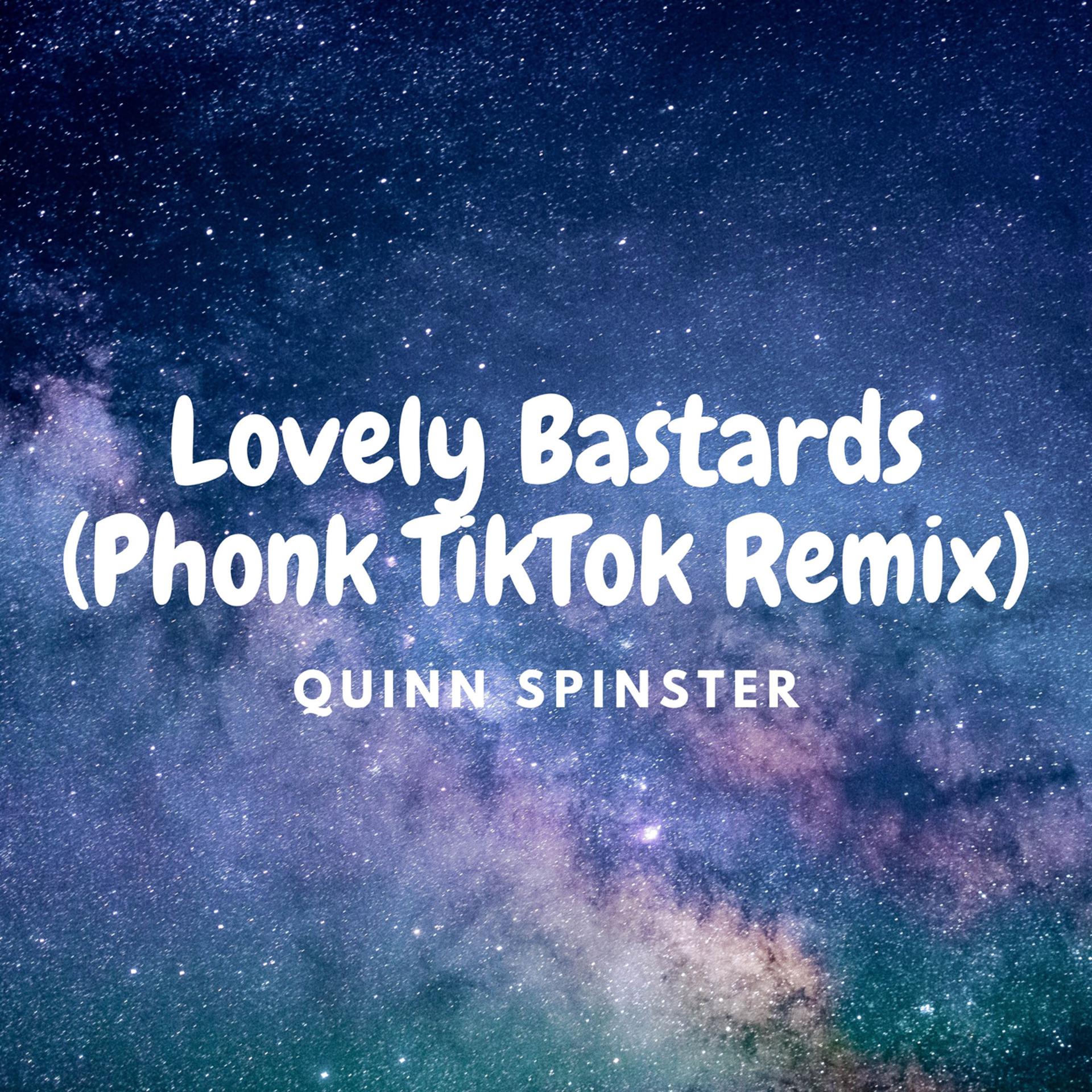 Постер альбома Lovely Bastards (Phonk TikTok Remix)