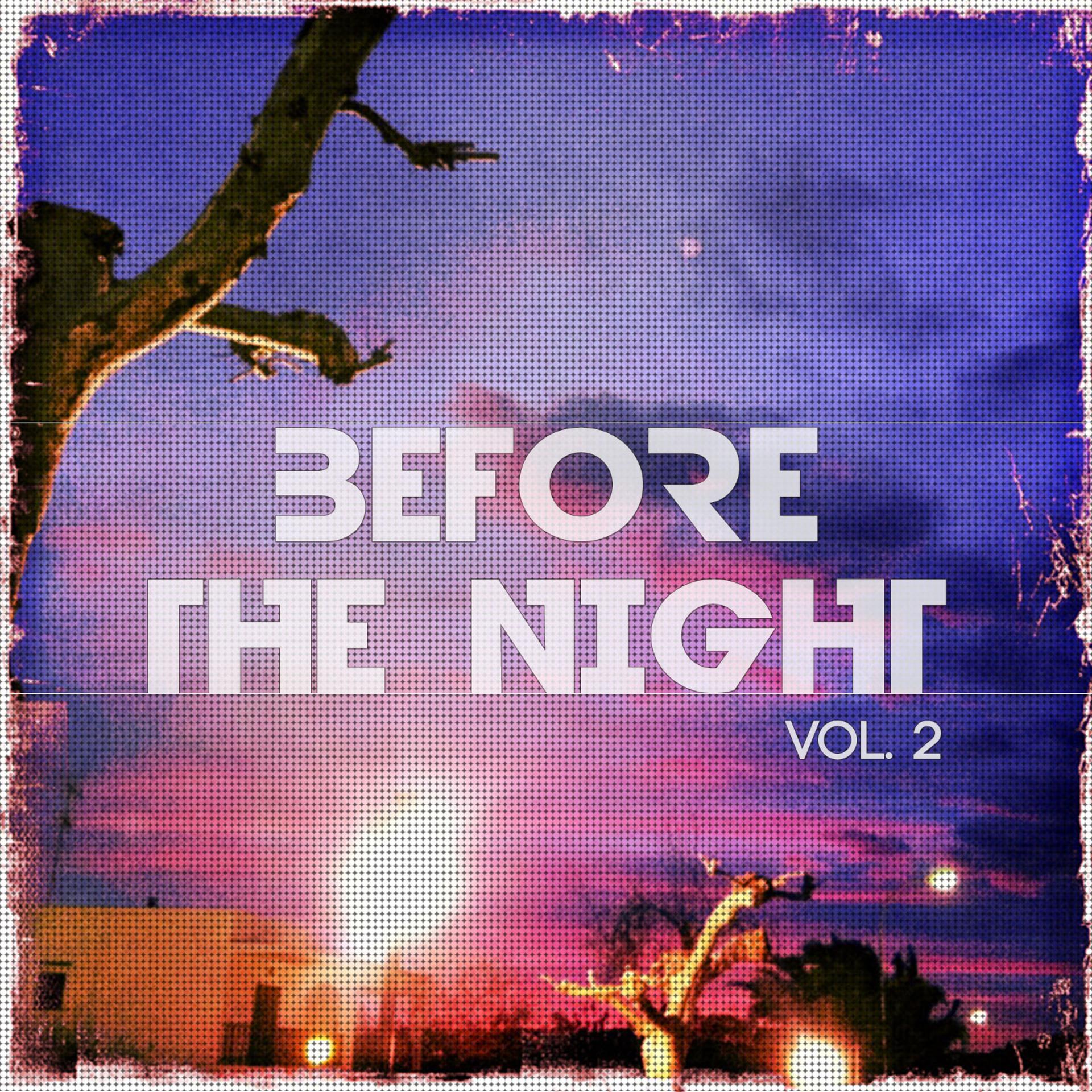 Постер альбома Before The Night, Vol. 2