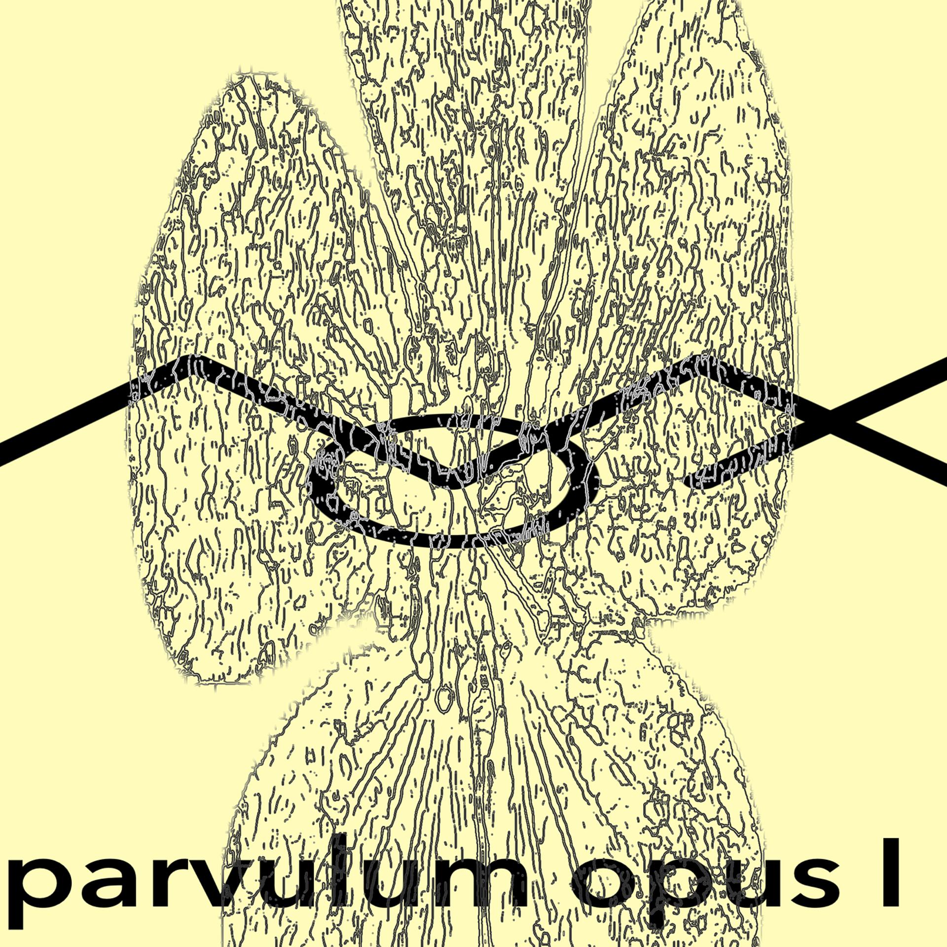 Постер альбома Parvulum Opus I