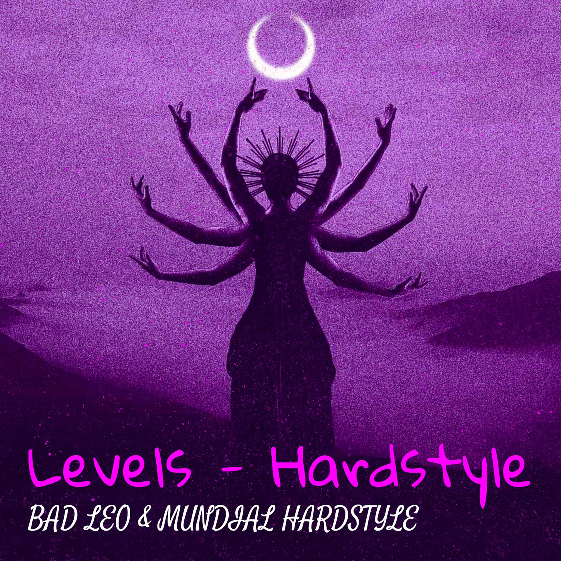 Постер альбома Levels - Hardstyle
