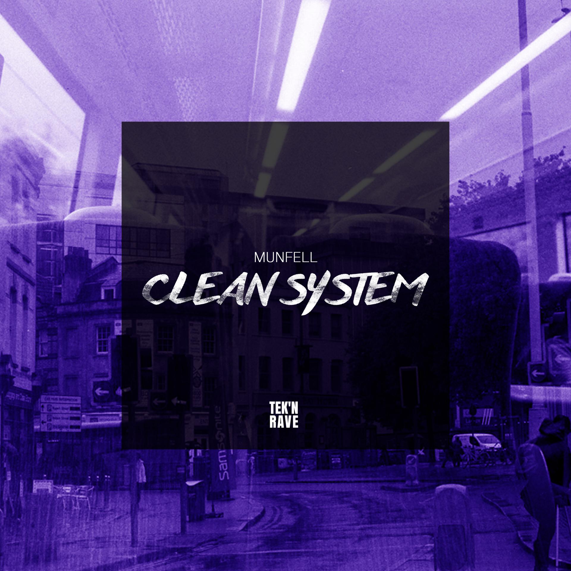 Постер альбома Clean System