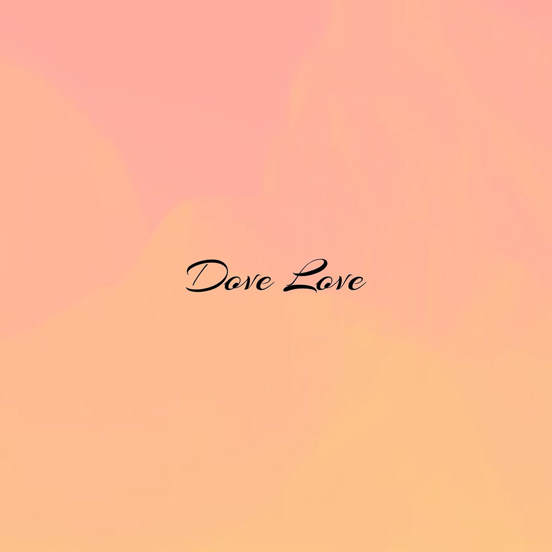 Постер альбома Dove Love