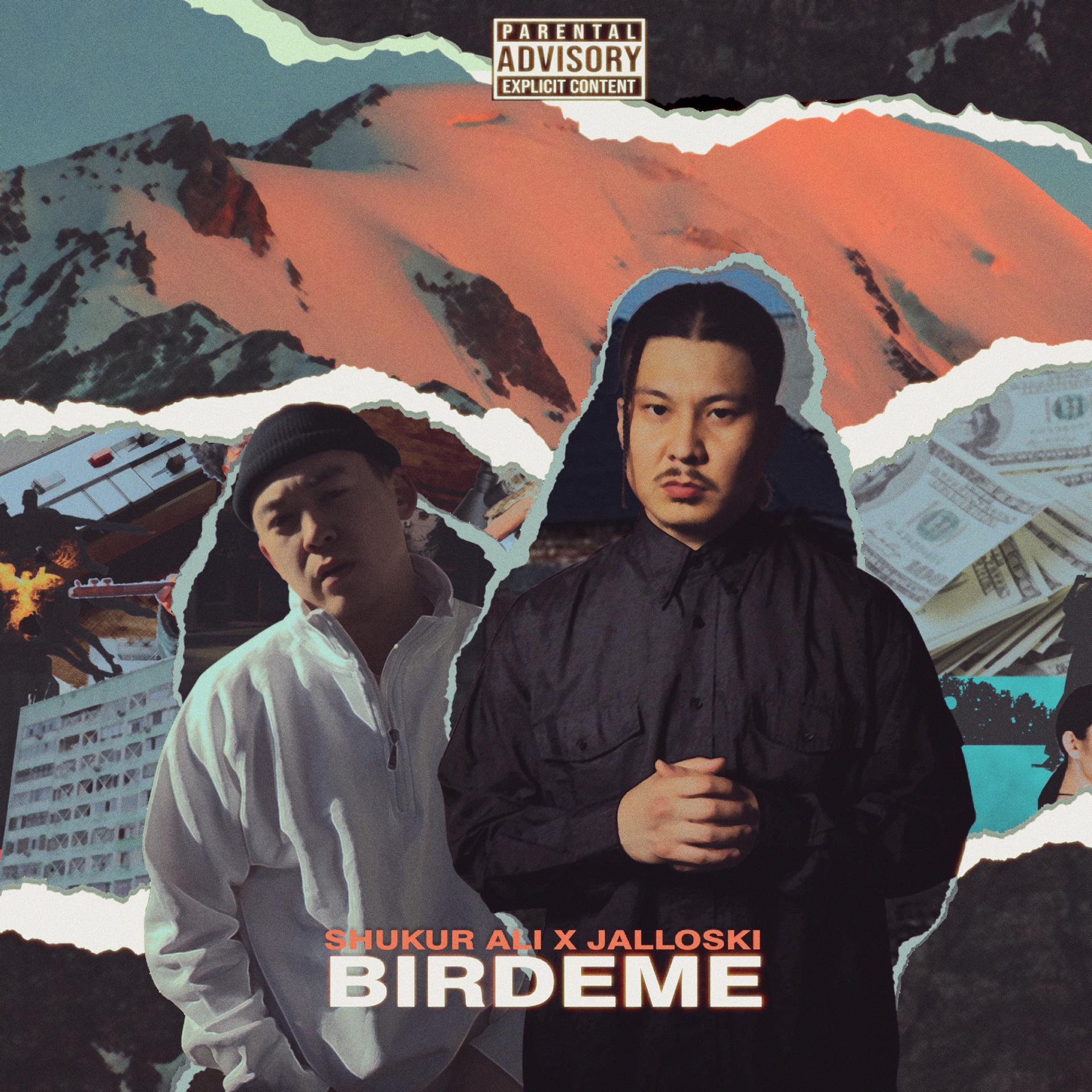 Постер альбома Birdeme