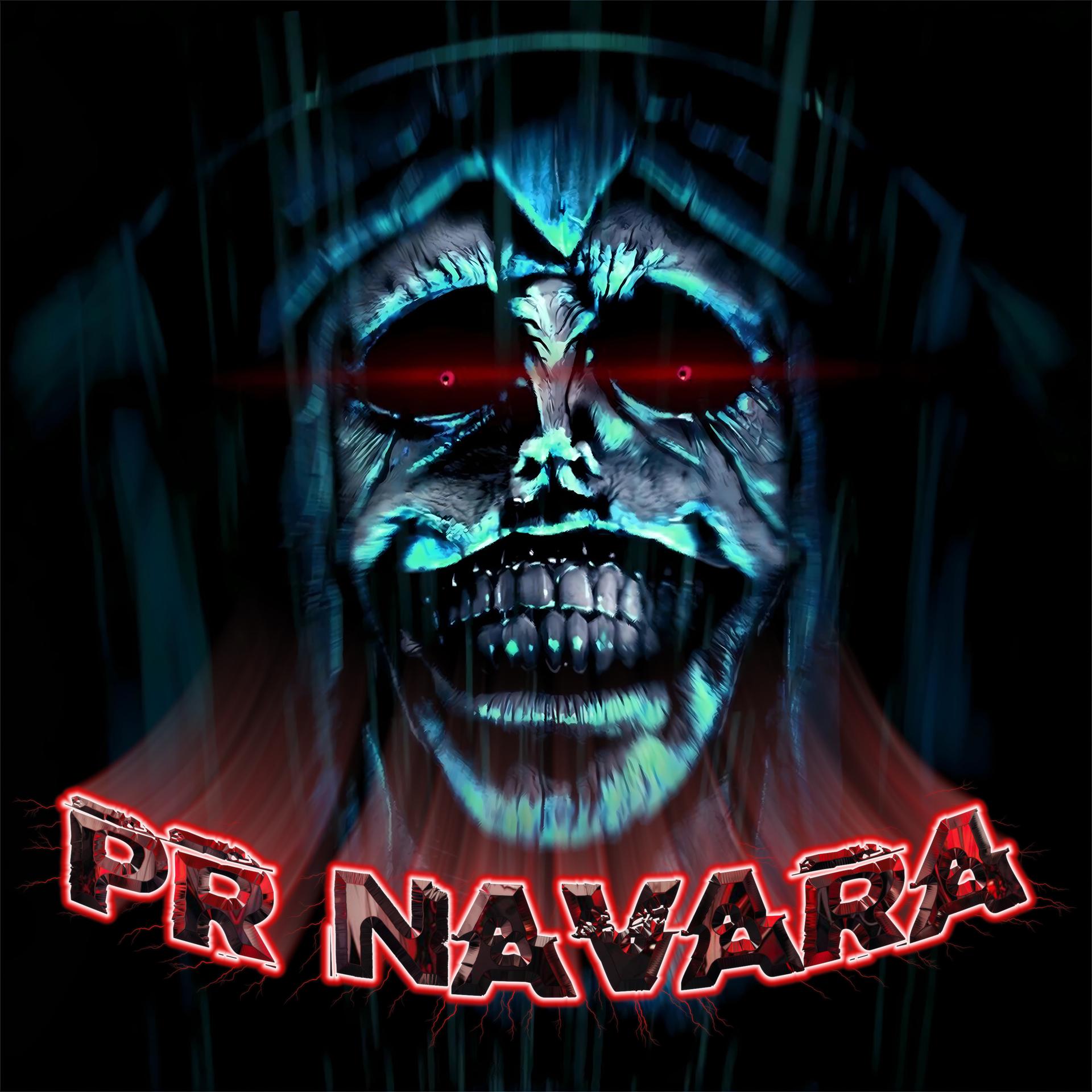 Постер альбома PR NAVARA