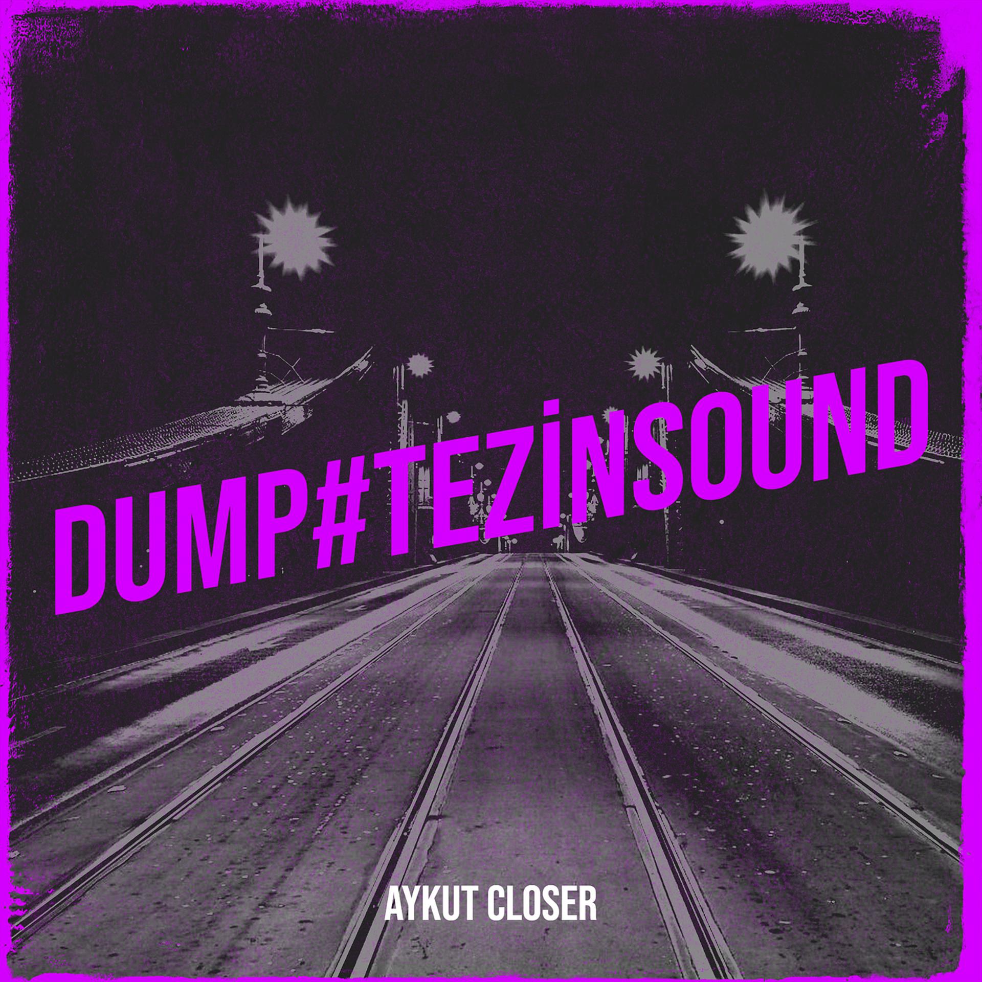 Постер альбома Dump#TezinSound