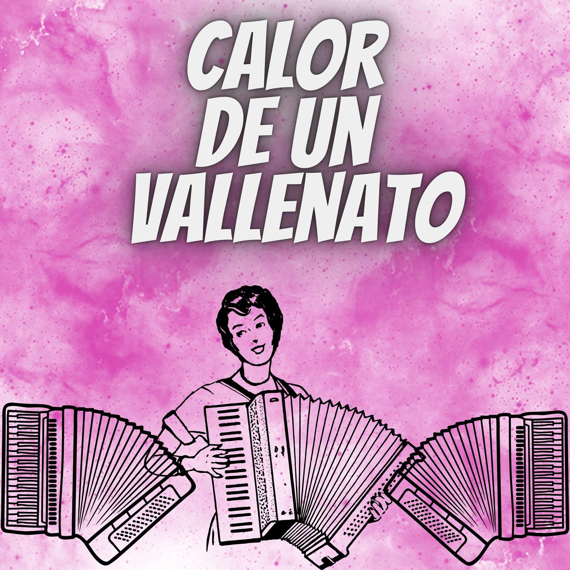 Постер альбома Calor de un vallenato