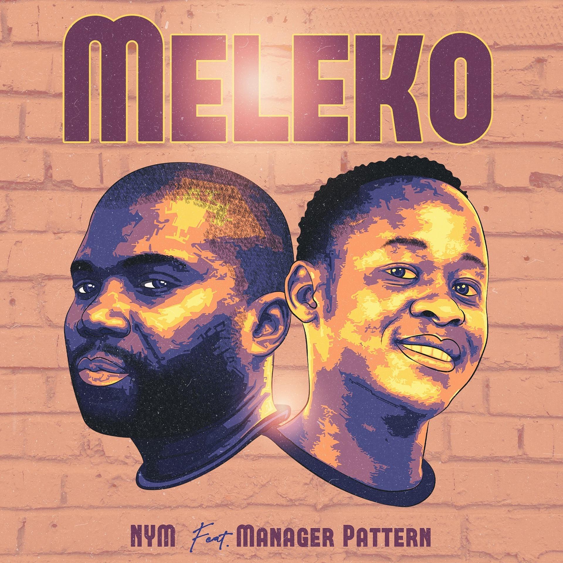Постер альбома Meleko