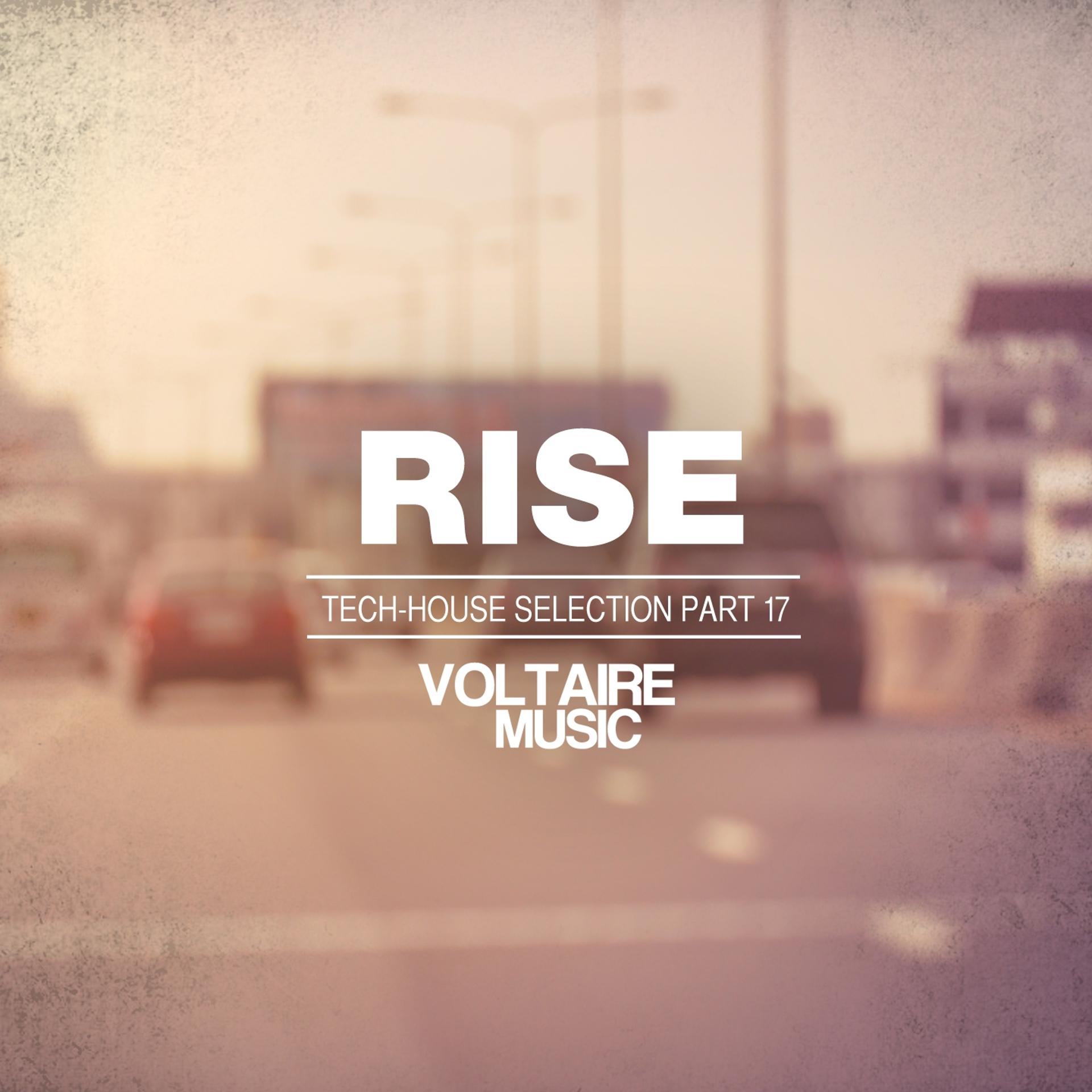 Постер альбома Rise - Tech House Selection, Pt. 17