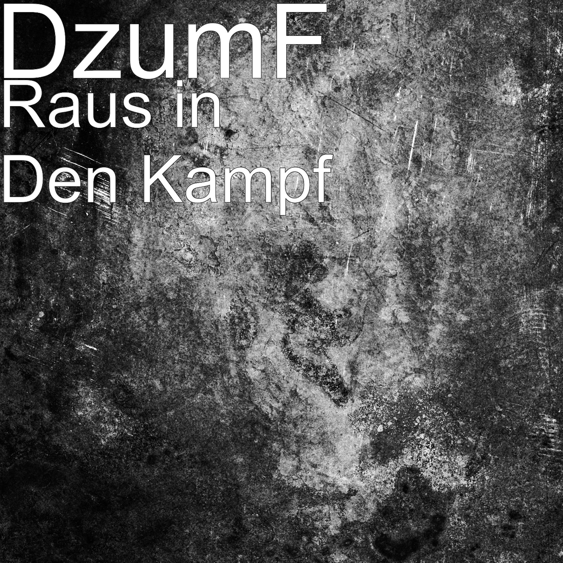 Постер альбома Raus in Den Kampf