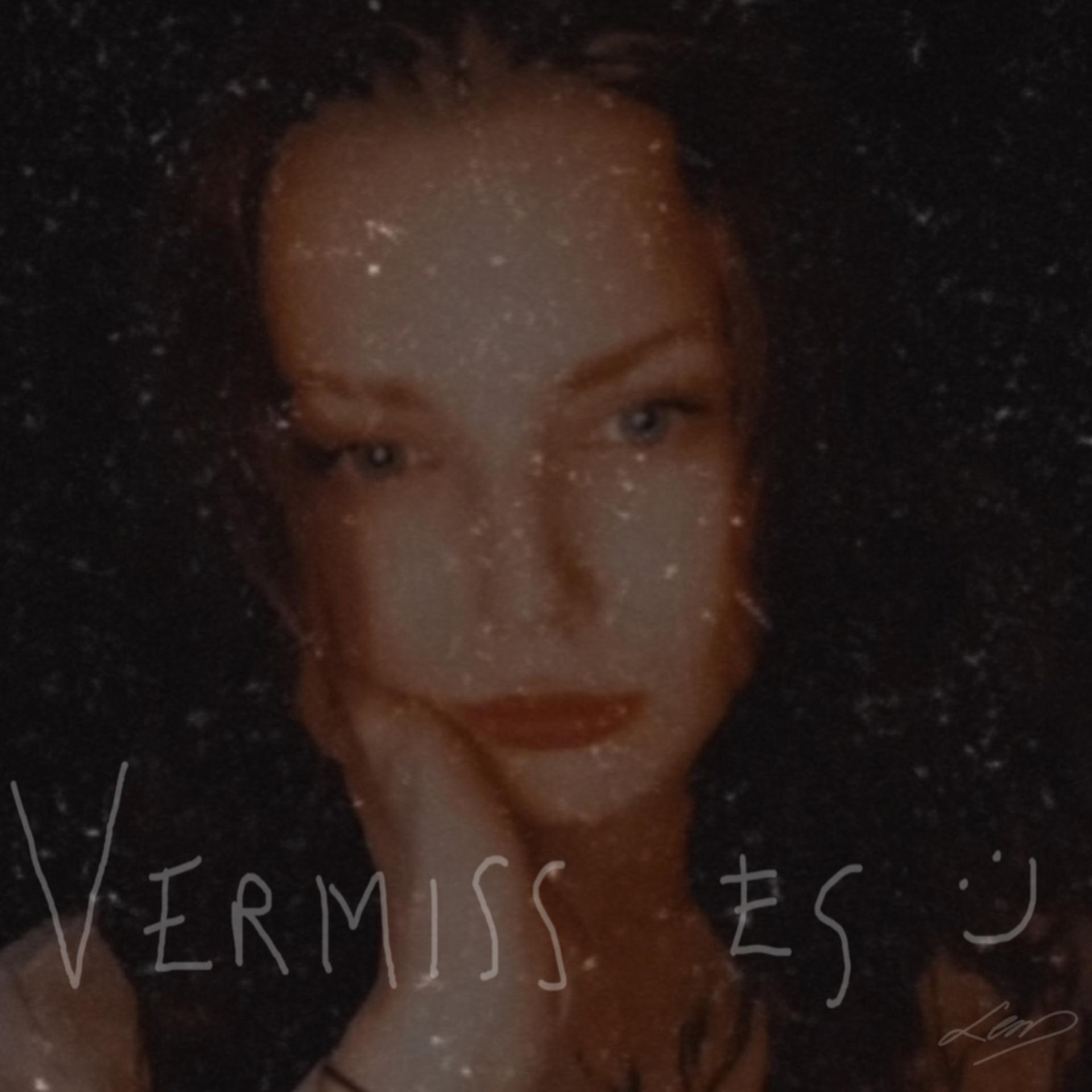 Постер альбома Vermiss Es