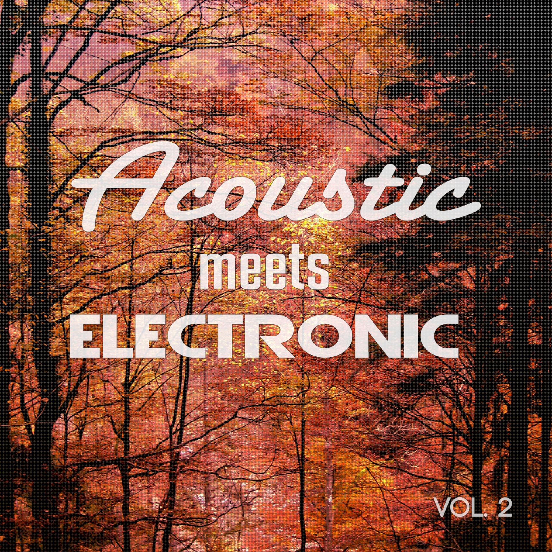 Постер альбома Acoustic Meets Electronic, Vol. 2