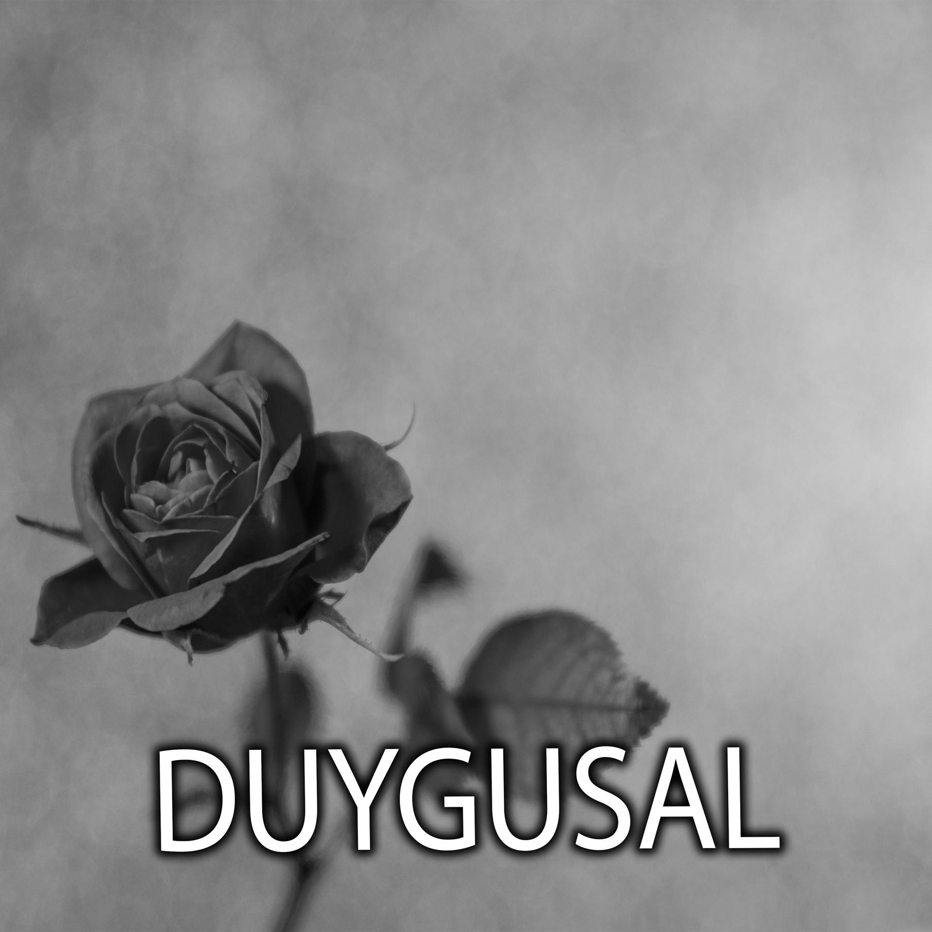 Постер альбома Duygusal