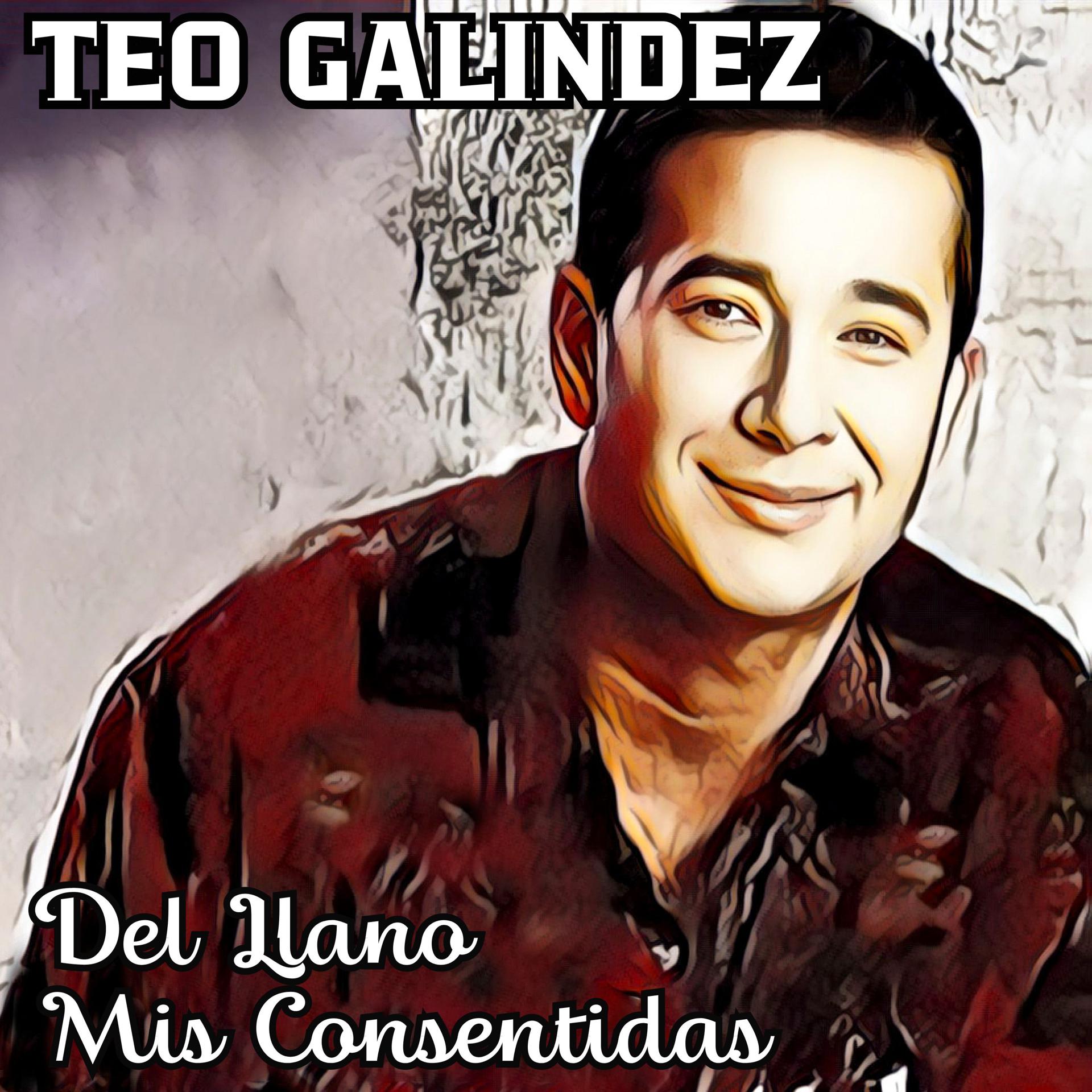 Постер альбома Del Llano Mis Consentidas