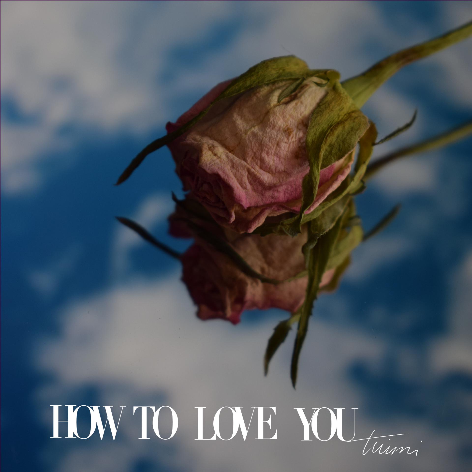 Постер альбома How To Love You