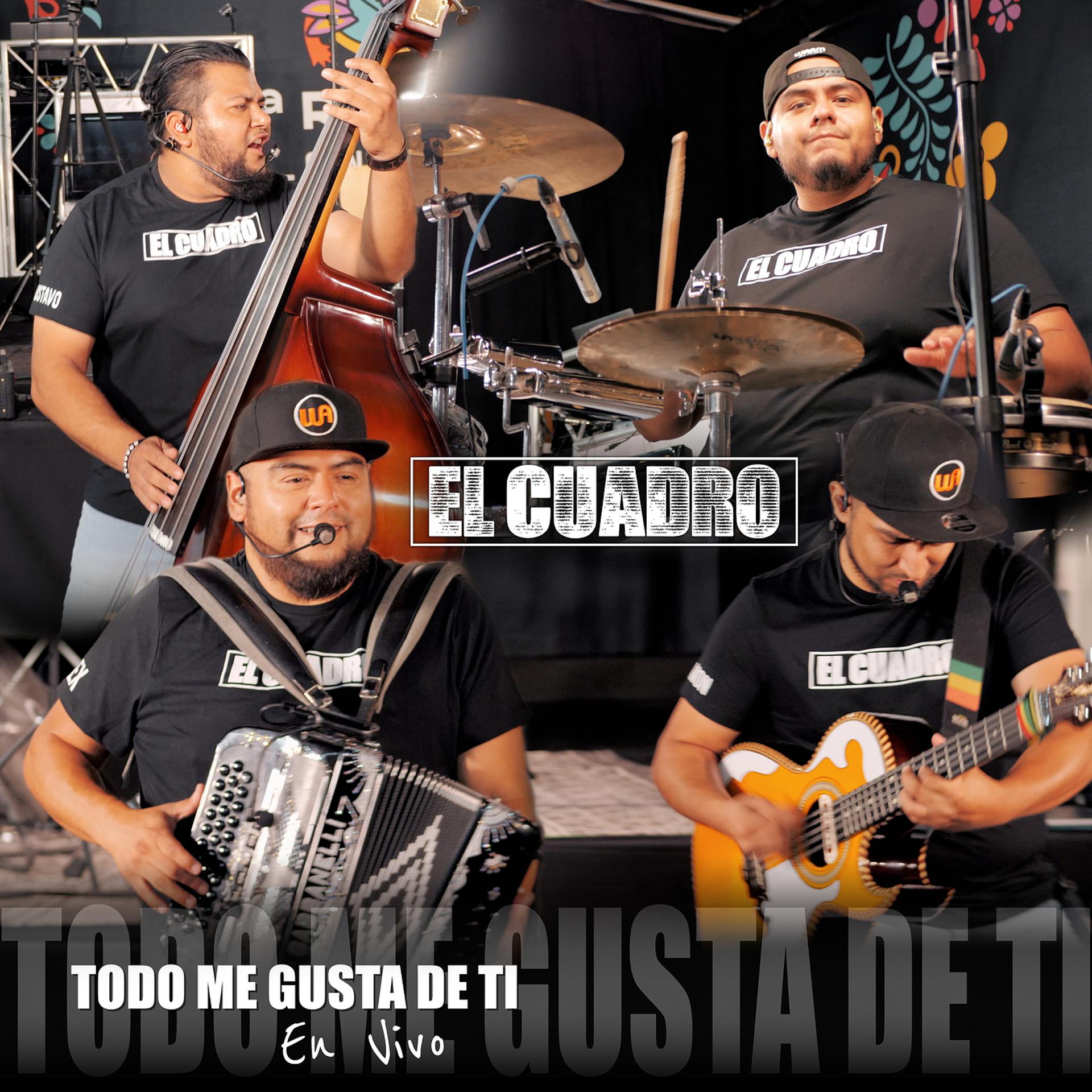 Постер альбома Todo Me Gusta De Ti (En Vivo)