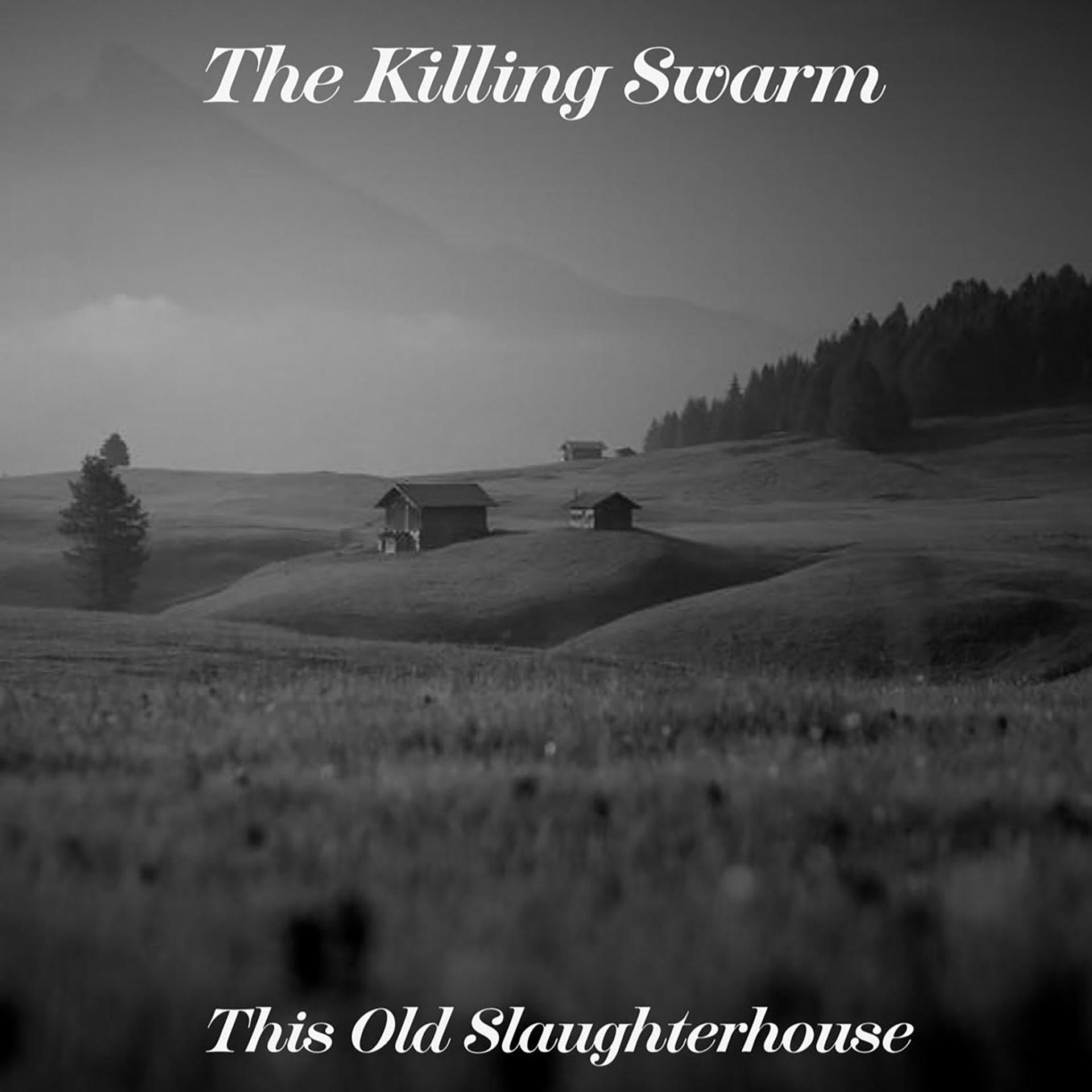 Постер альбома This Old Slaughterhouse