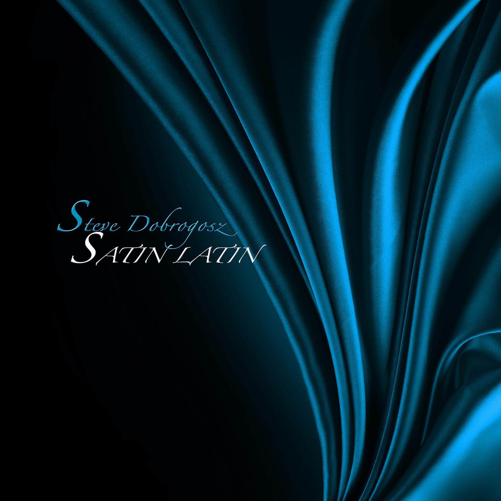 Постер альбома Satin Latin