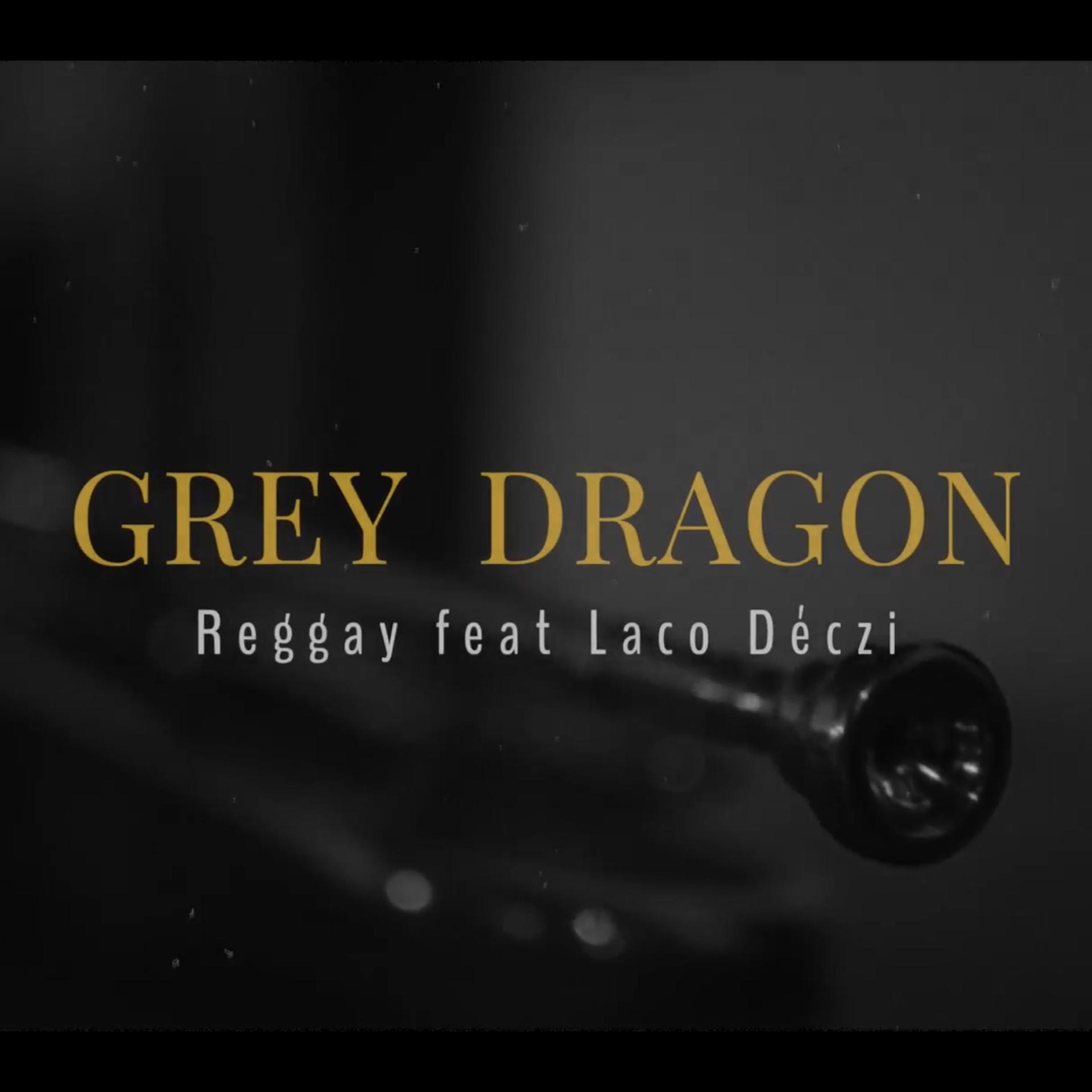 Постер альбома Grey Dragon