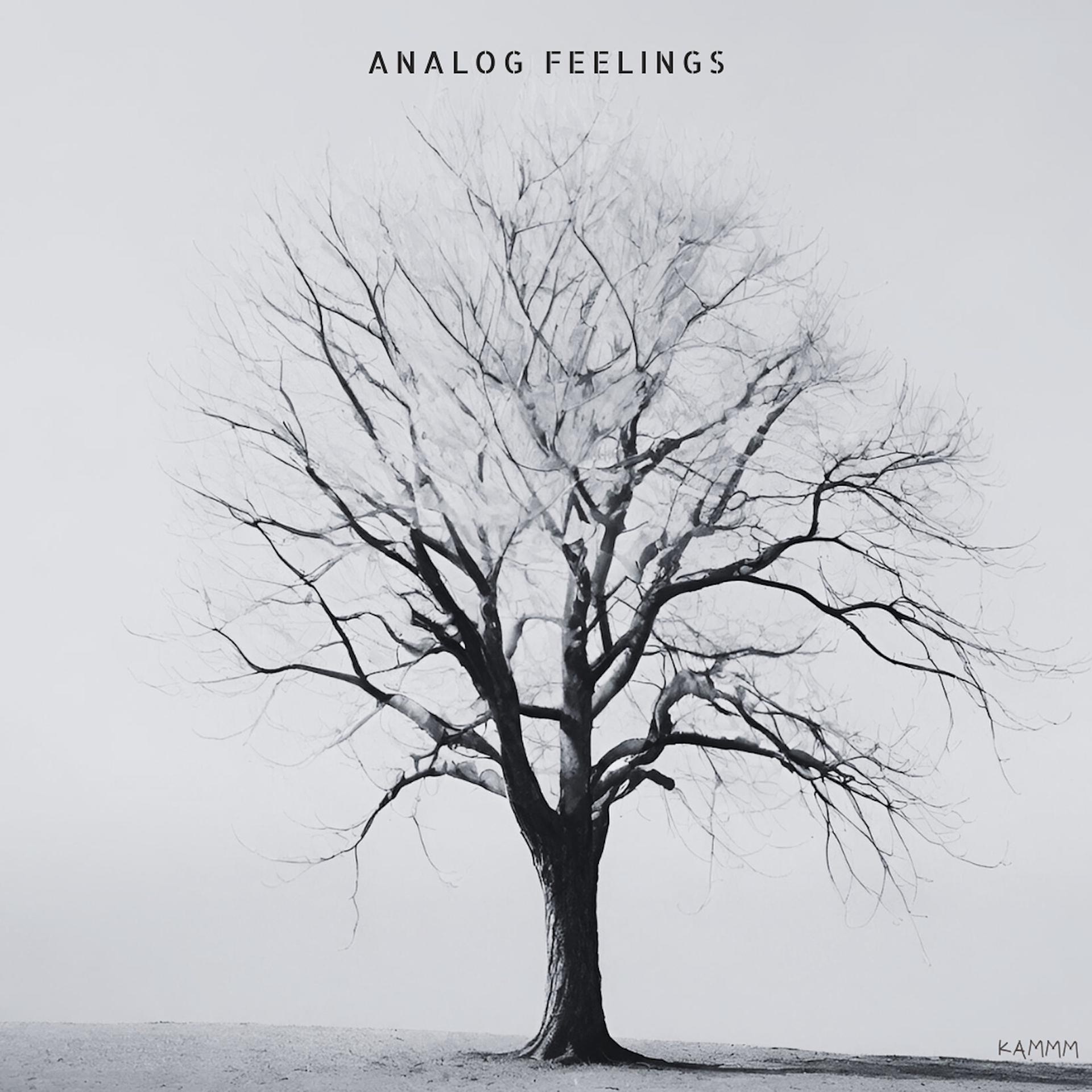 Постер альбома Analog Feelings