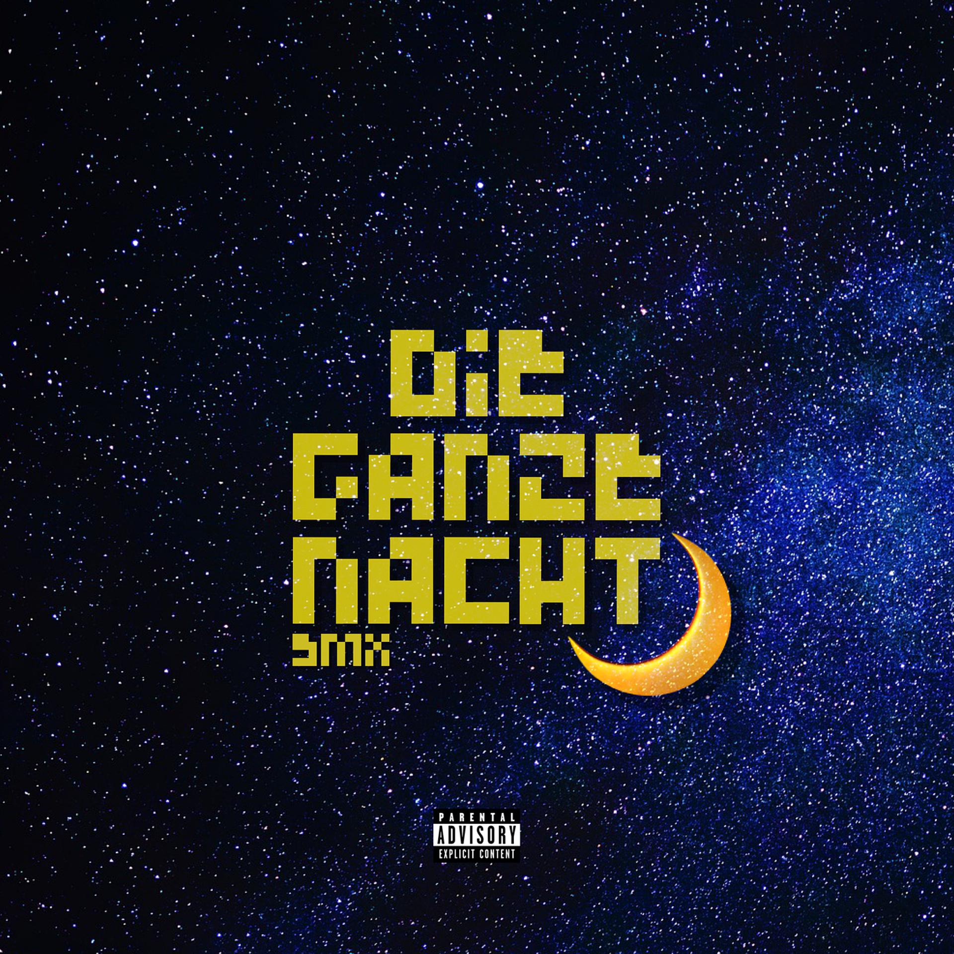 Постер альбома Die Ganze Nacht
