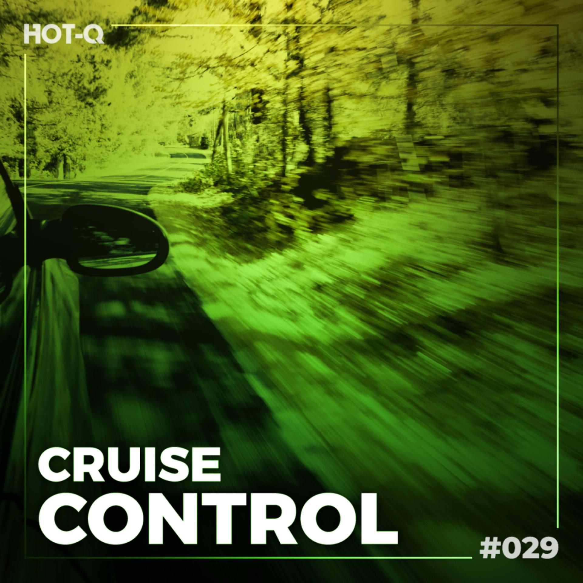 Постер альбома Cruise Control 029