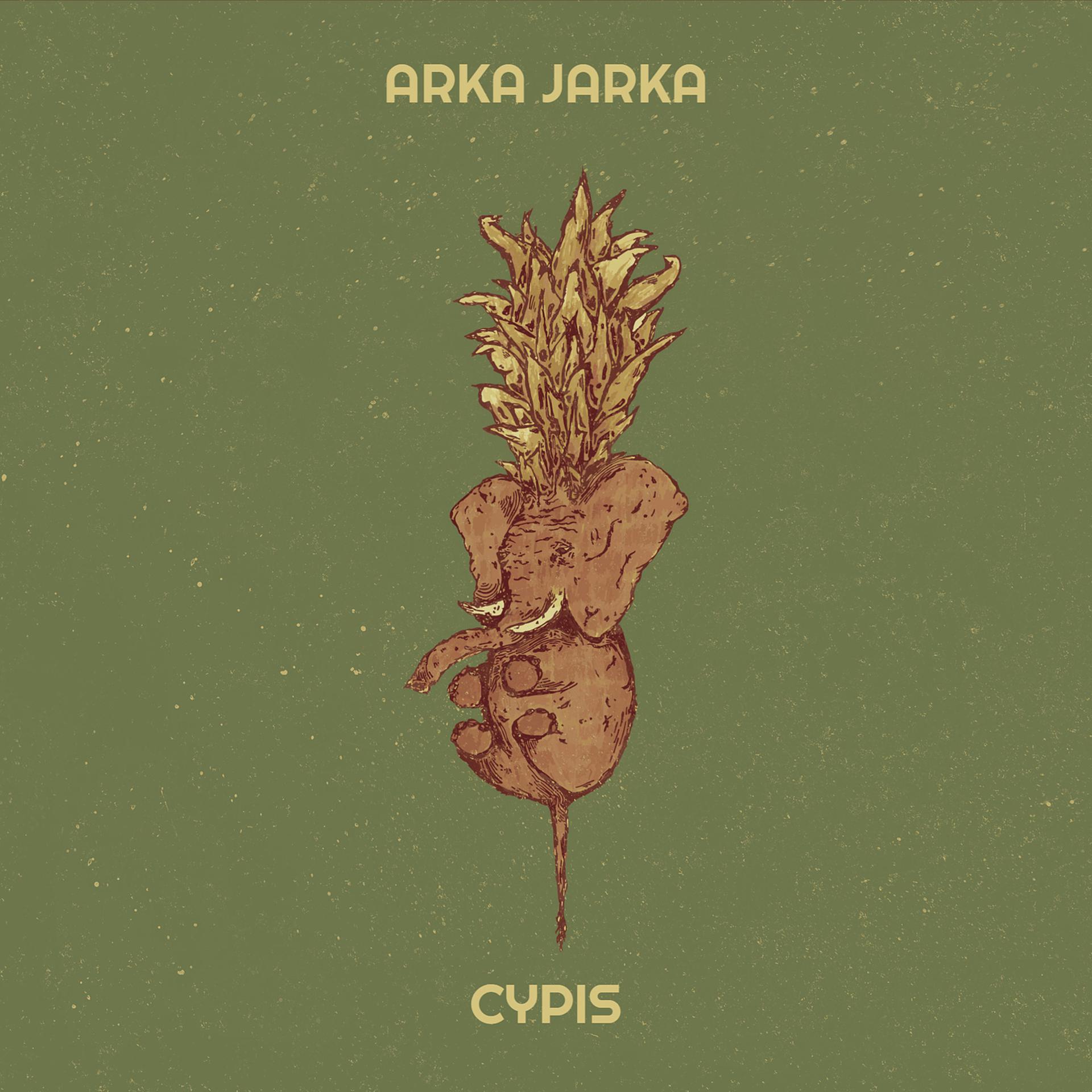 Постер альбома Arka Jarka