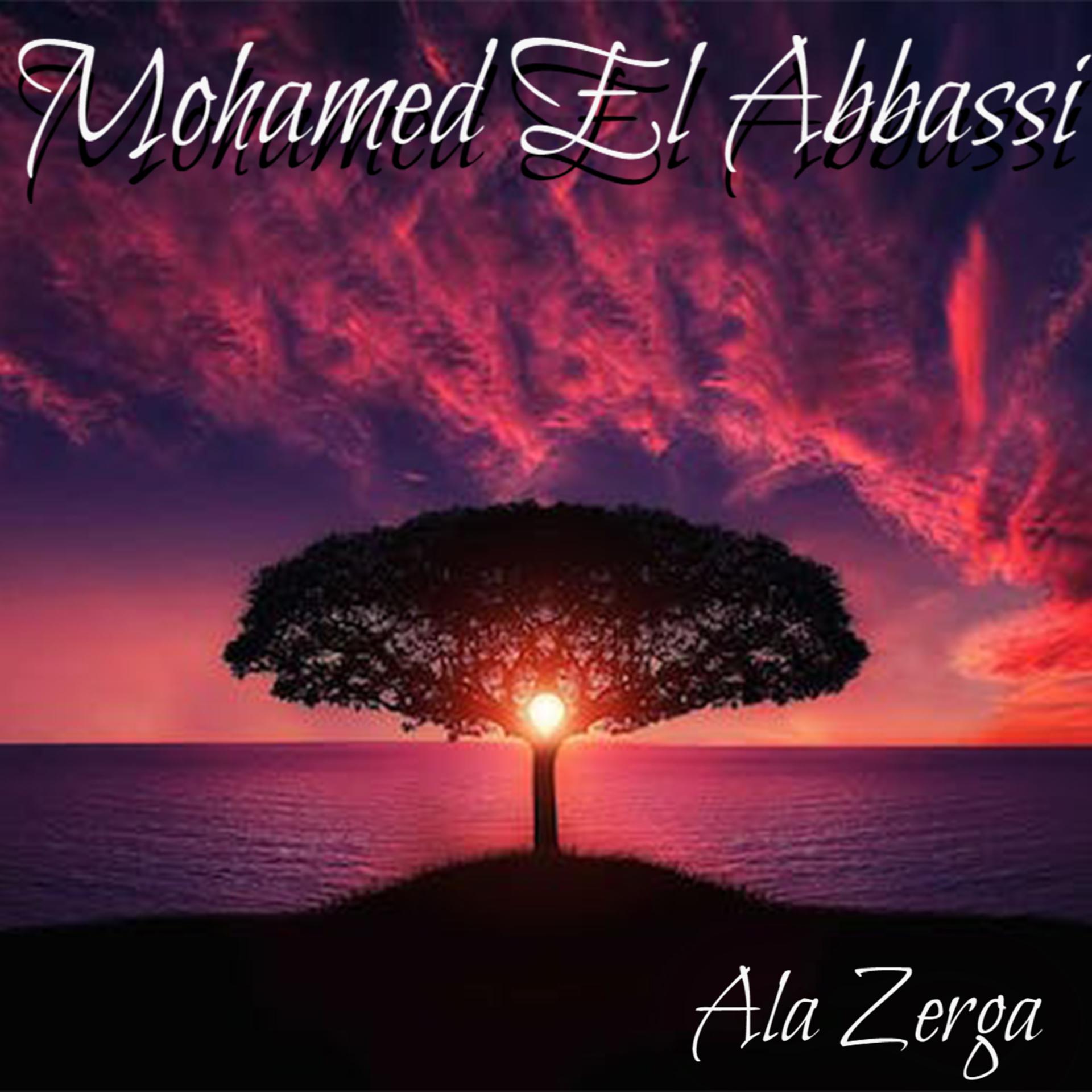 Постер альбома Ala Zerga