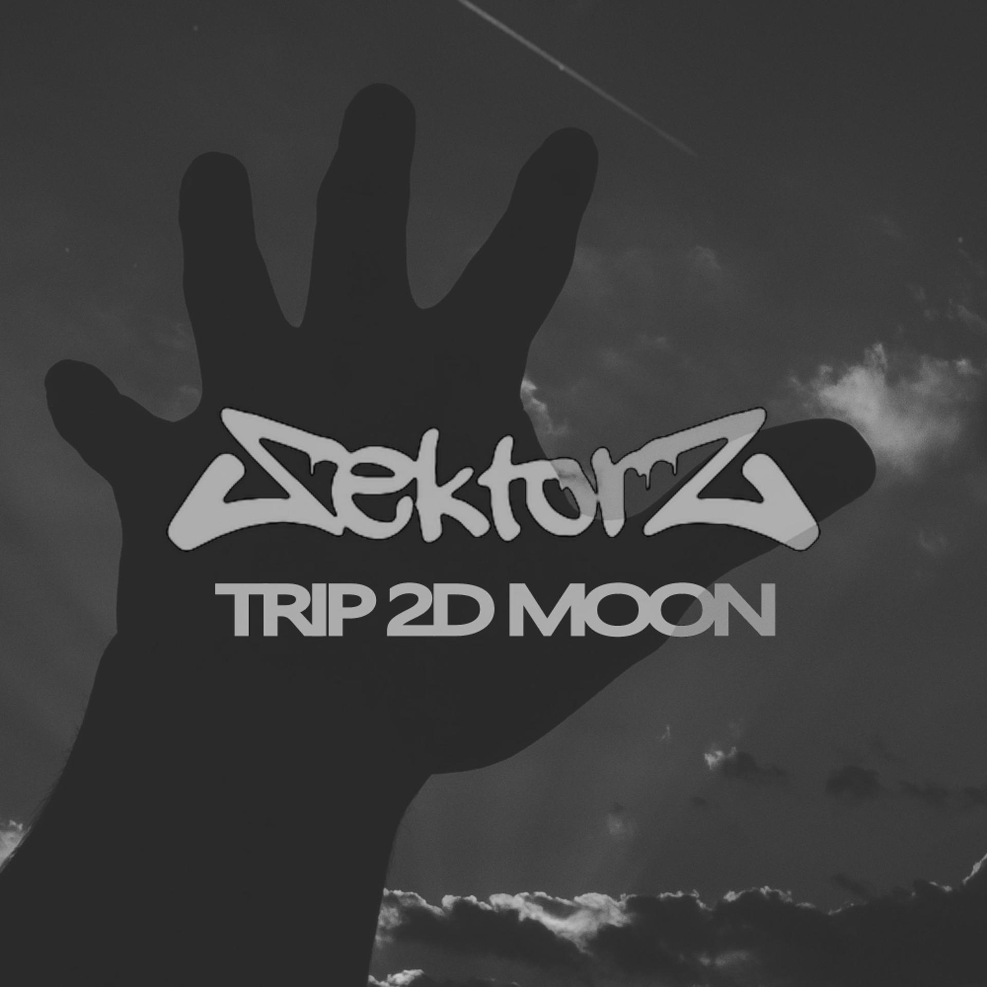 Постер альбома Trip 2D Moon
