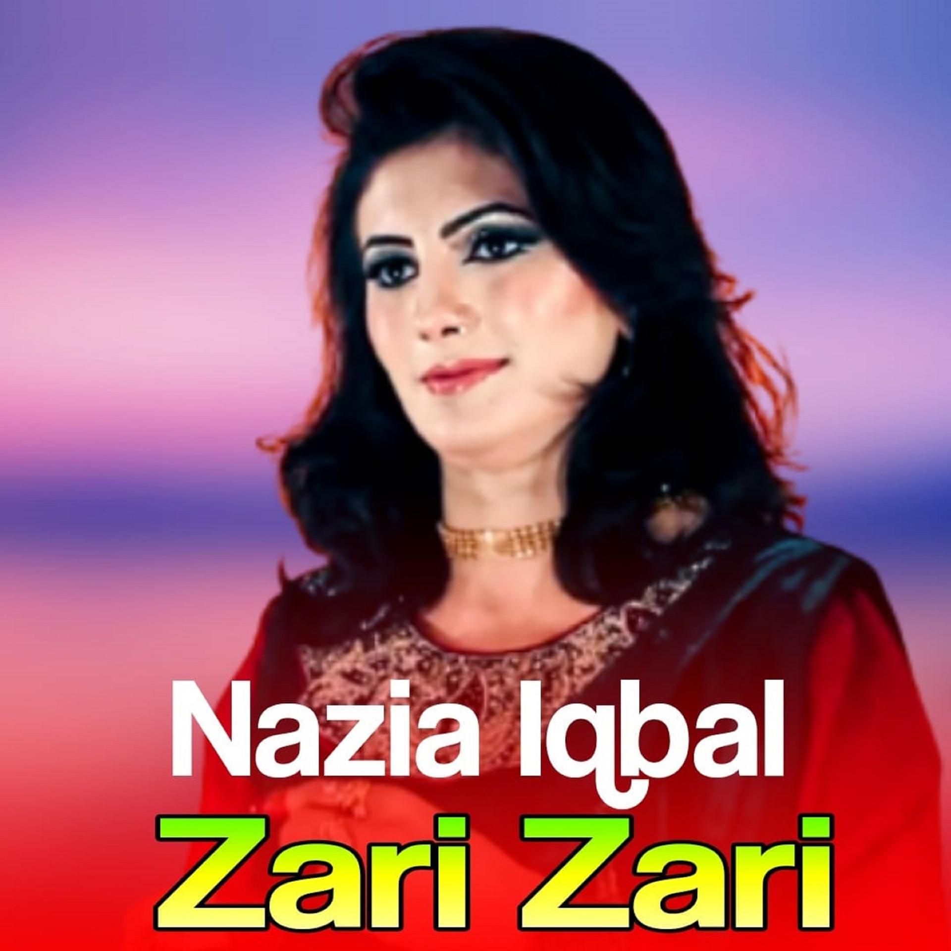 Постер альбома Zari Zari