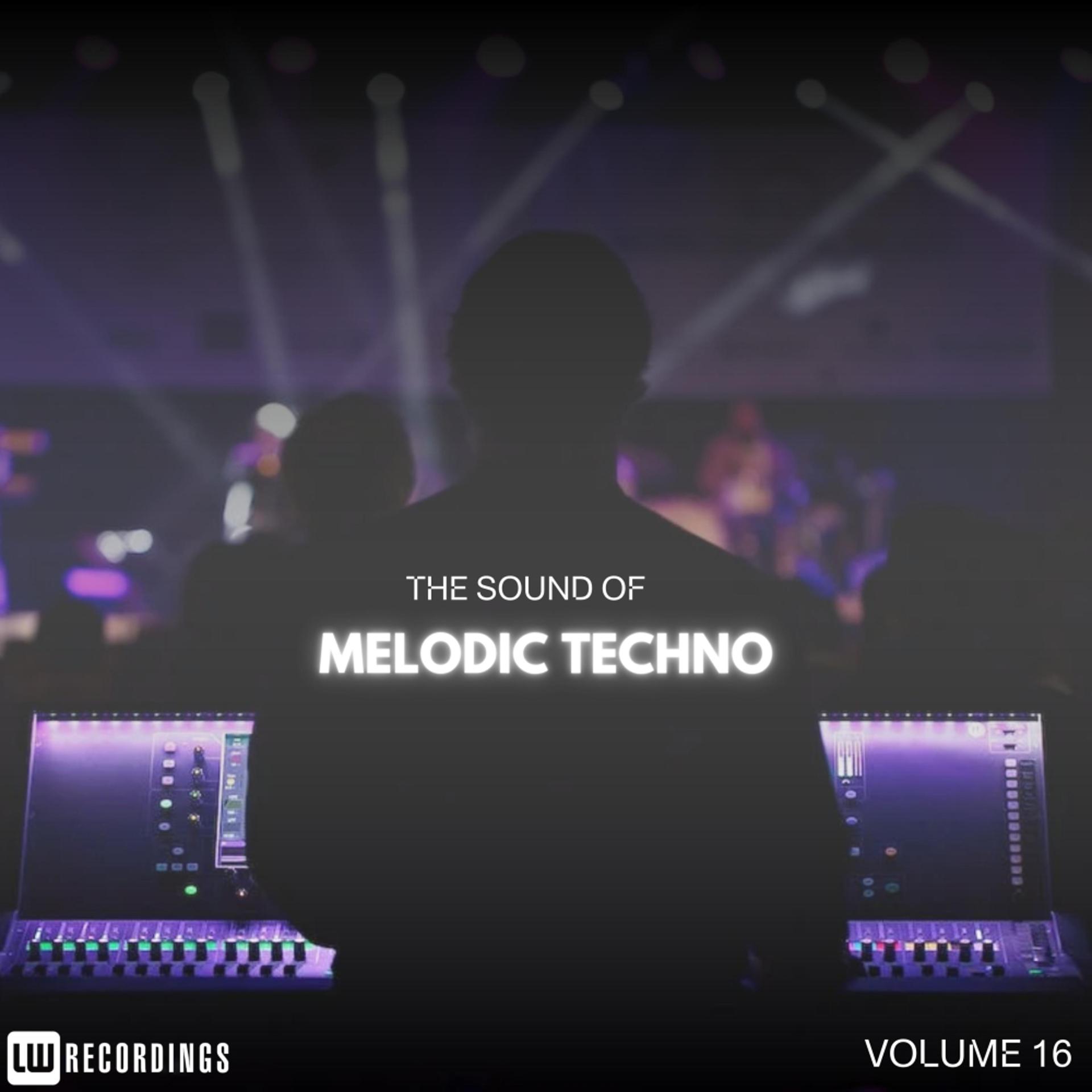 Постер альбома The Sound Of Melodic Techno, Vol. 16